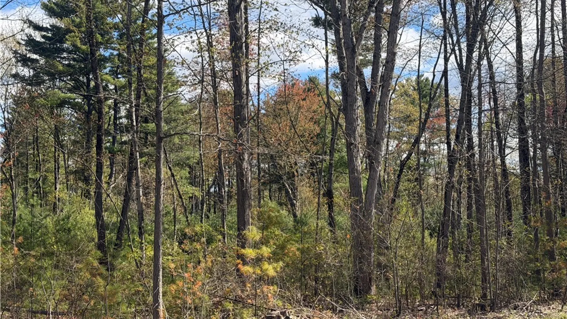 Property at State Route 49, Constantia, NY 13028 23