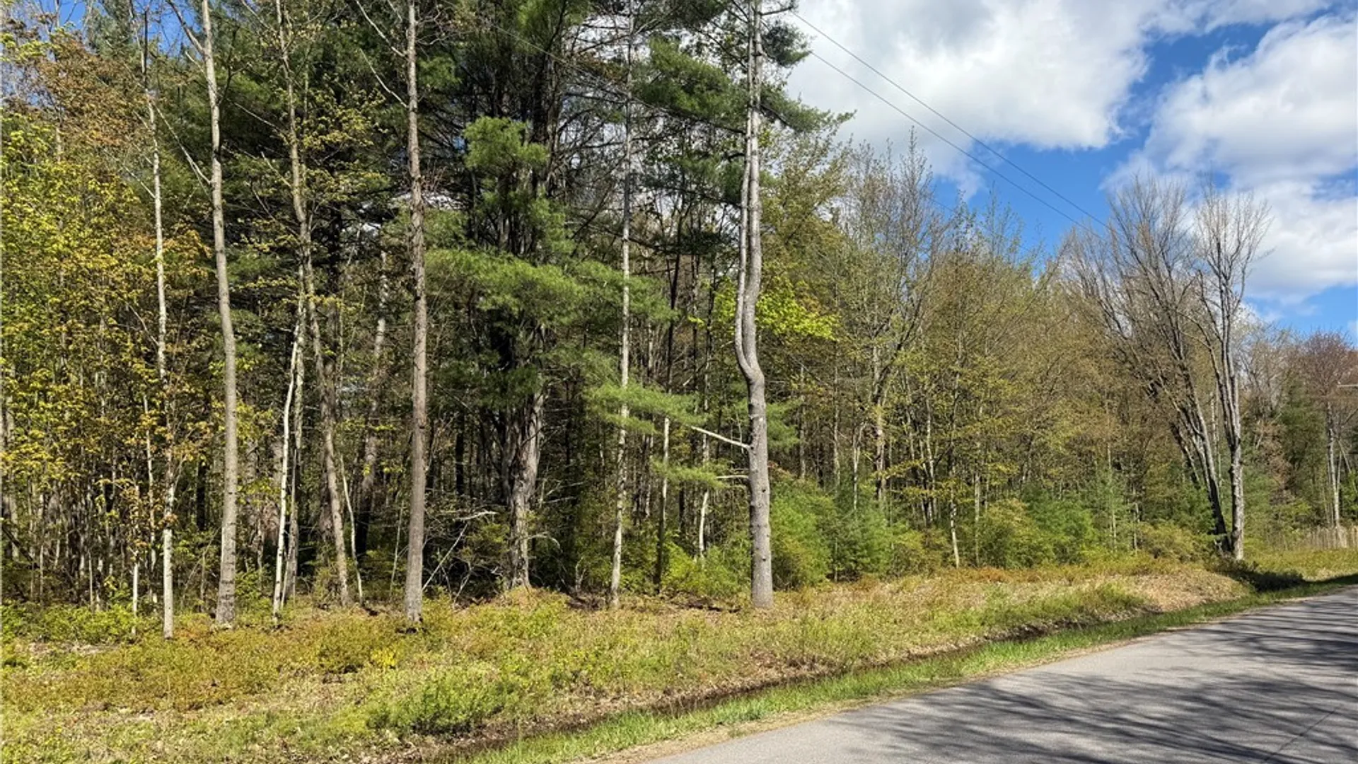 Property at State Route 49, Constantia, NY 13028 35