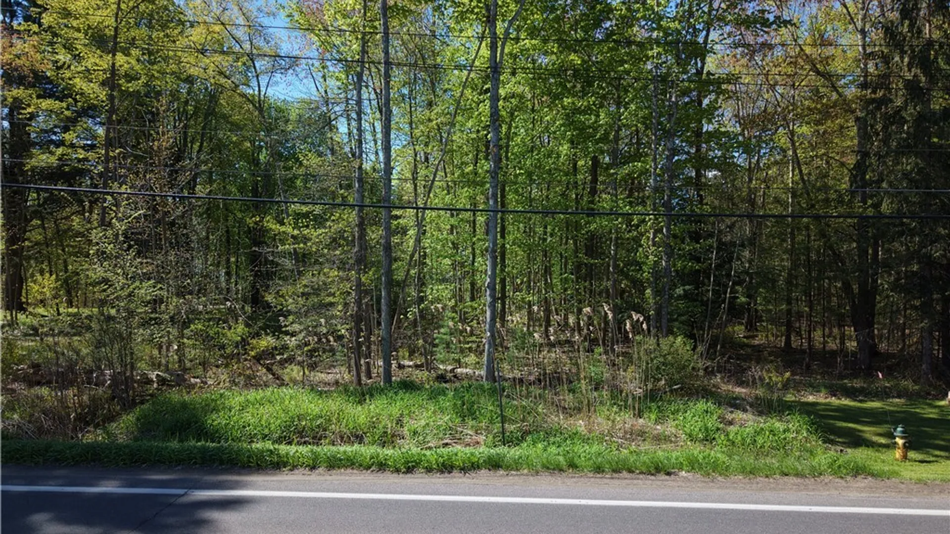 Property at State Route 49, Constantia, NY 13028 38