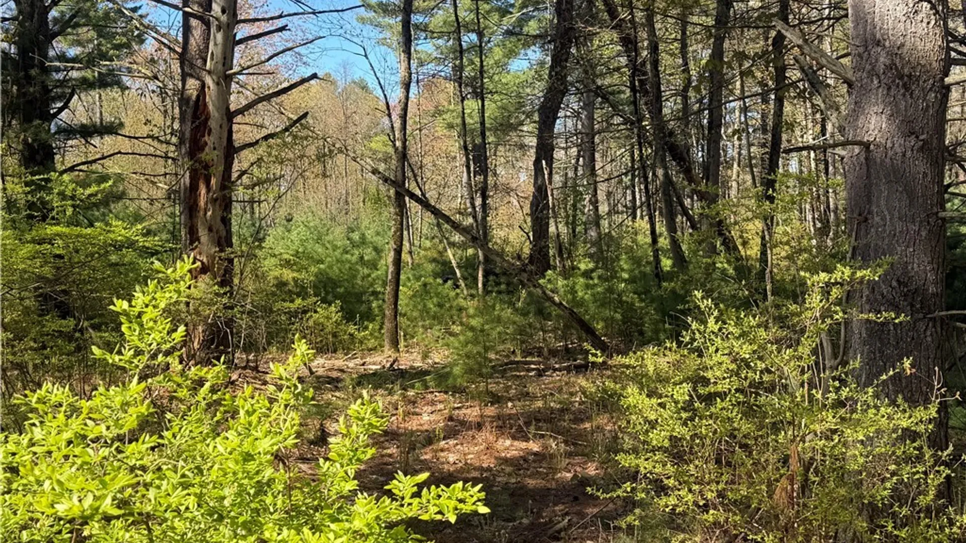 Property at State Route 49, Constantia, NY 13028 40