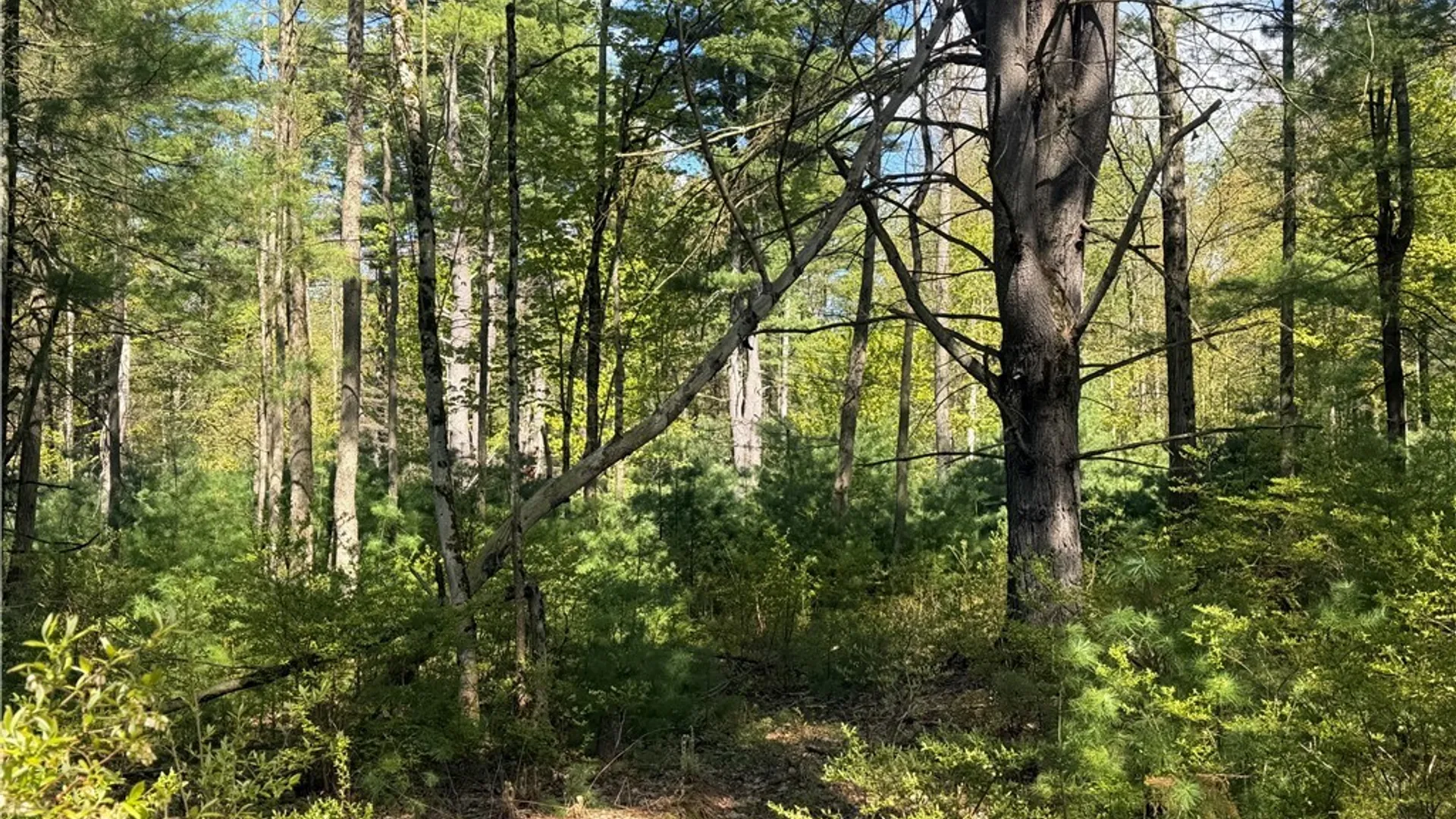Property at State Route 49, Constantia, NY 13028 41