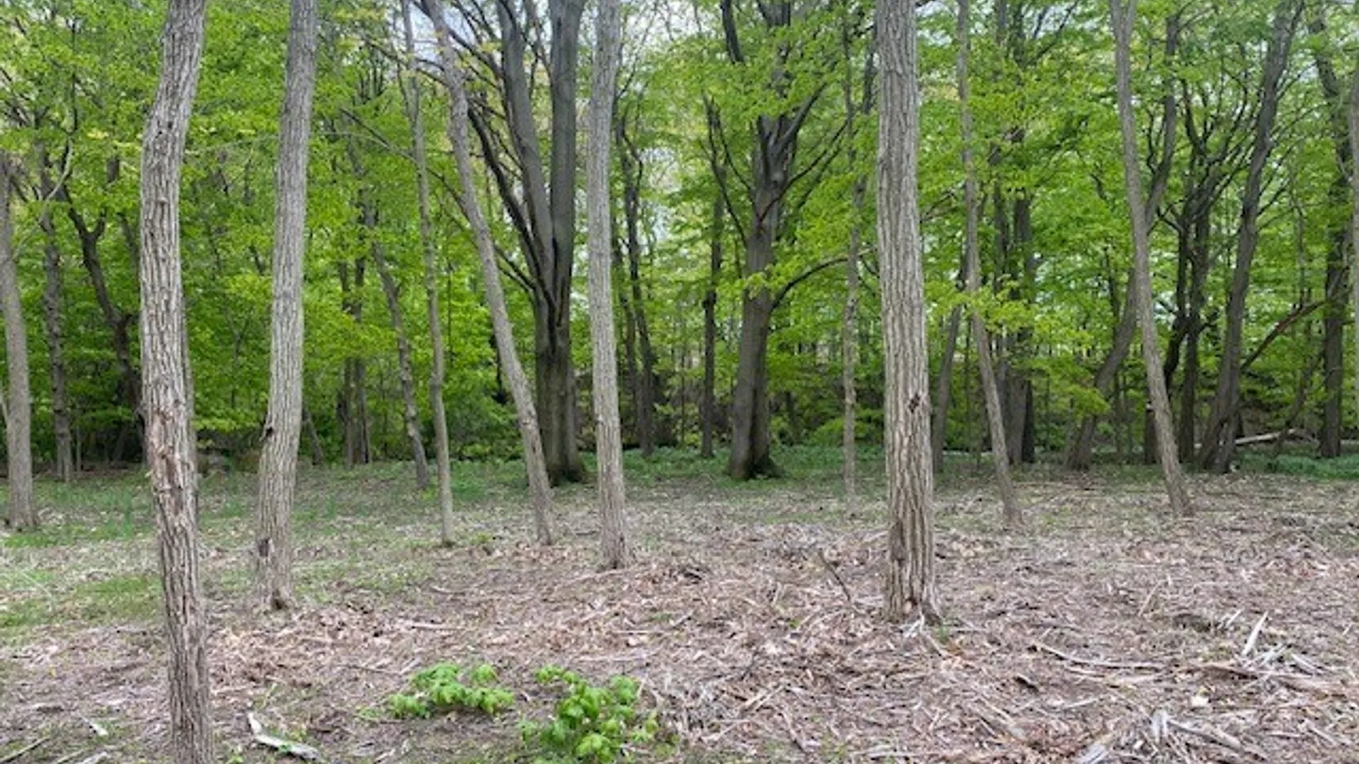 Property at Rt-5 Road, Westfield, NY 14787 8