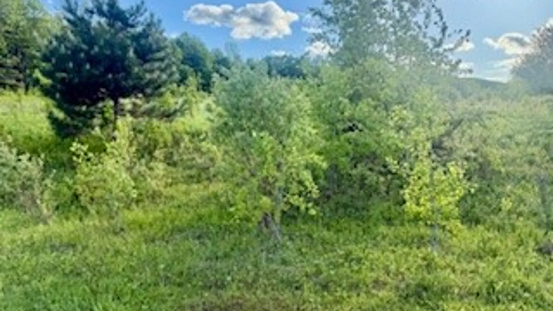 Property at Ridgeview Road, Plymouth, NY 13832 11