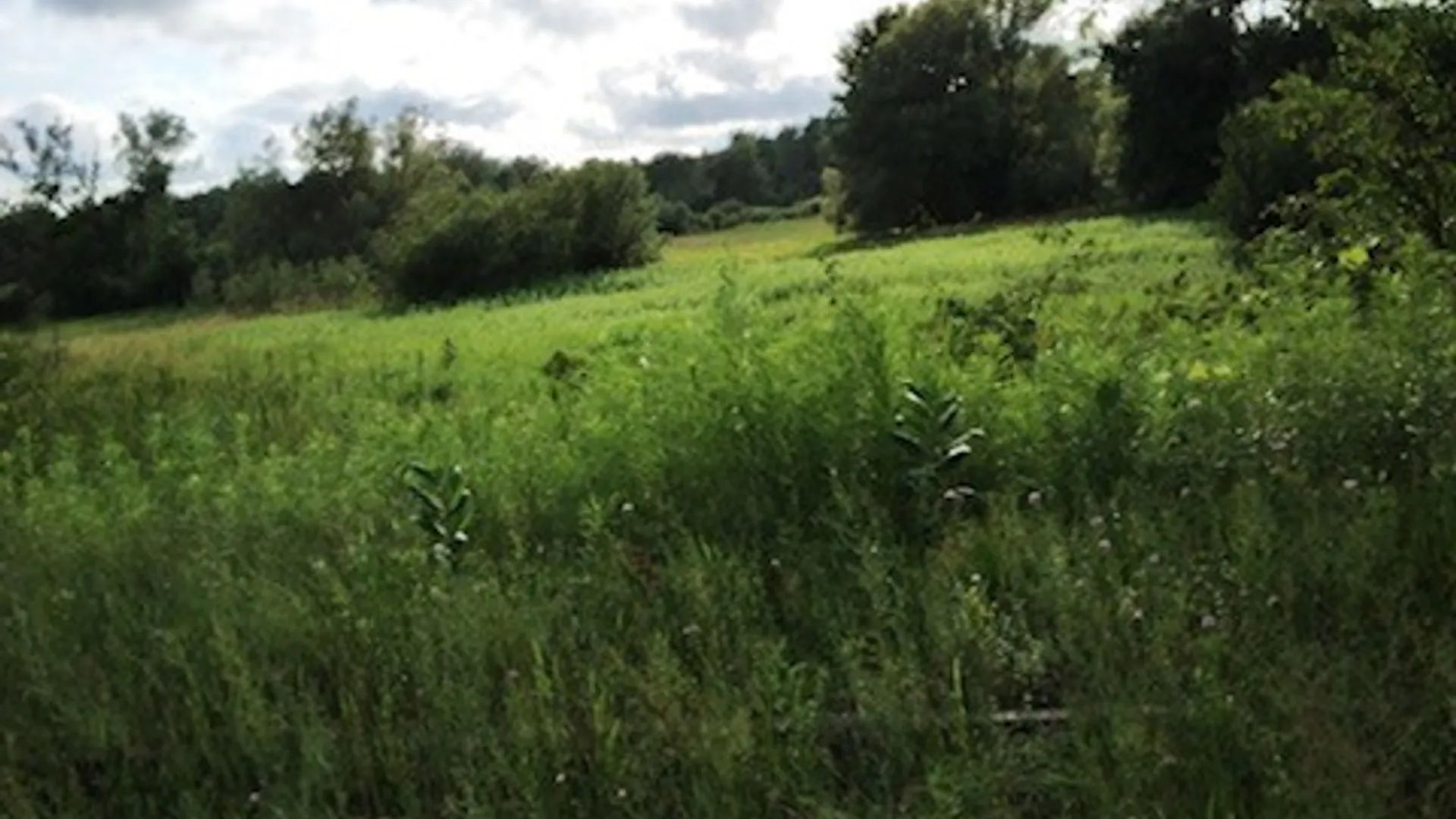 Property at 41 Liberty Street, Champion, NY 13619 13