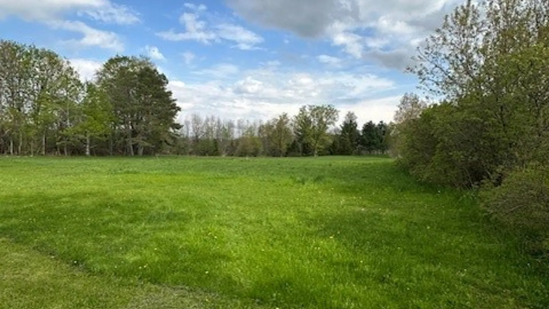 Property at 41 Liberty Street, Champion, NY 13619 5