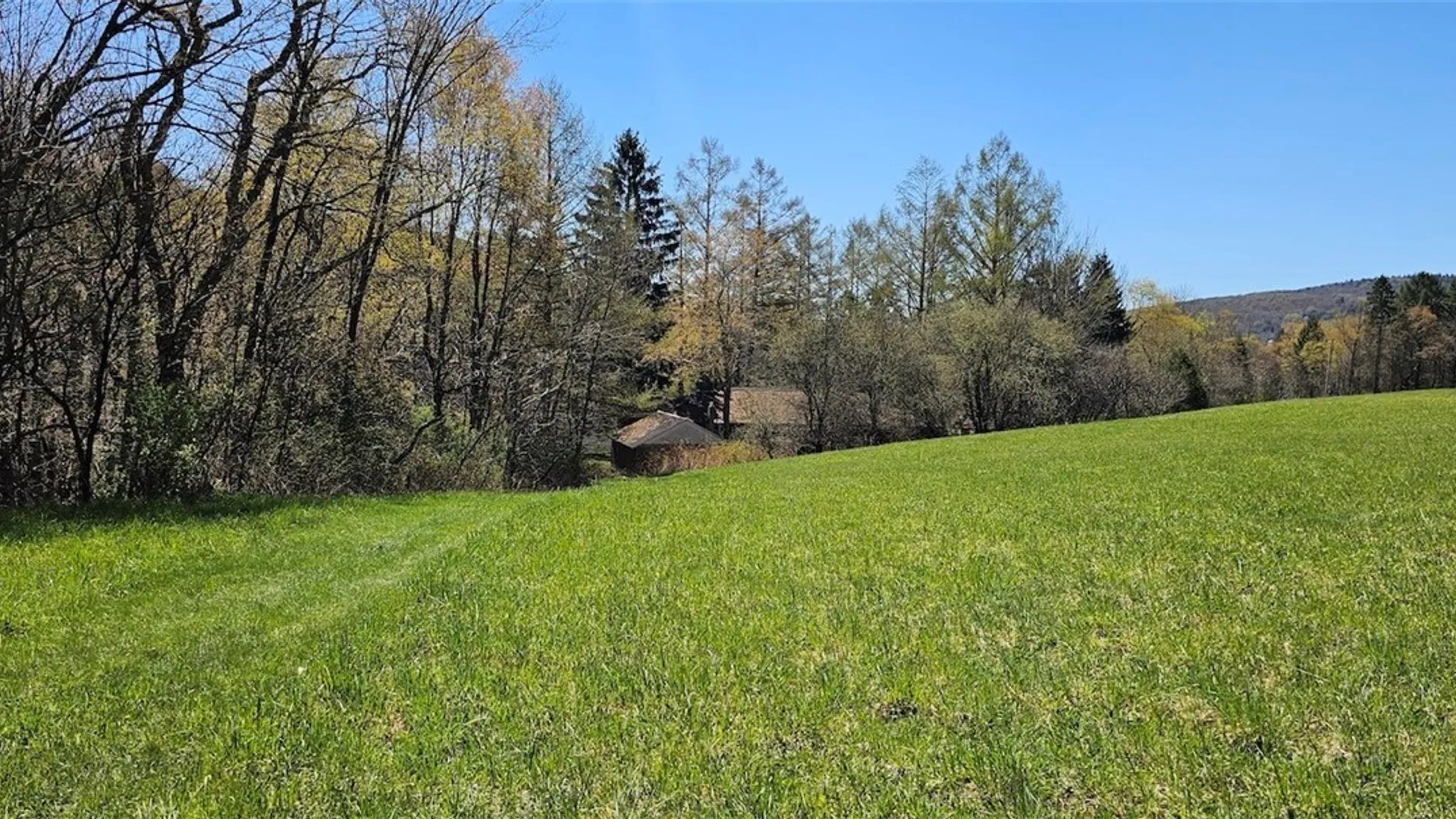Property at 1720 County Route 12, Lincklaen, NY 13052 11