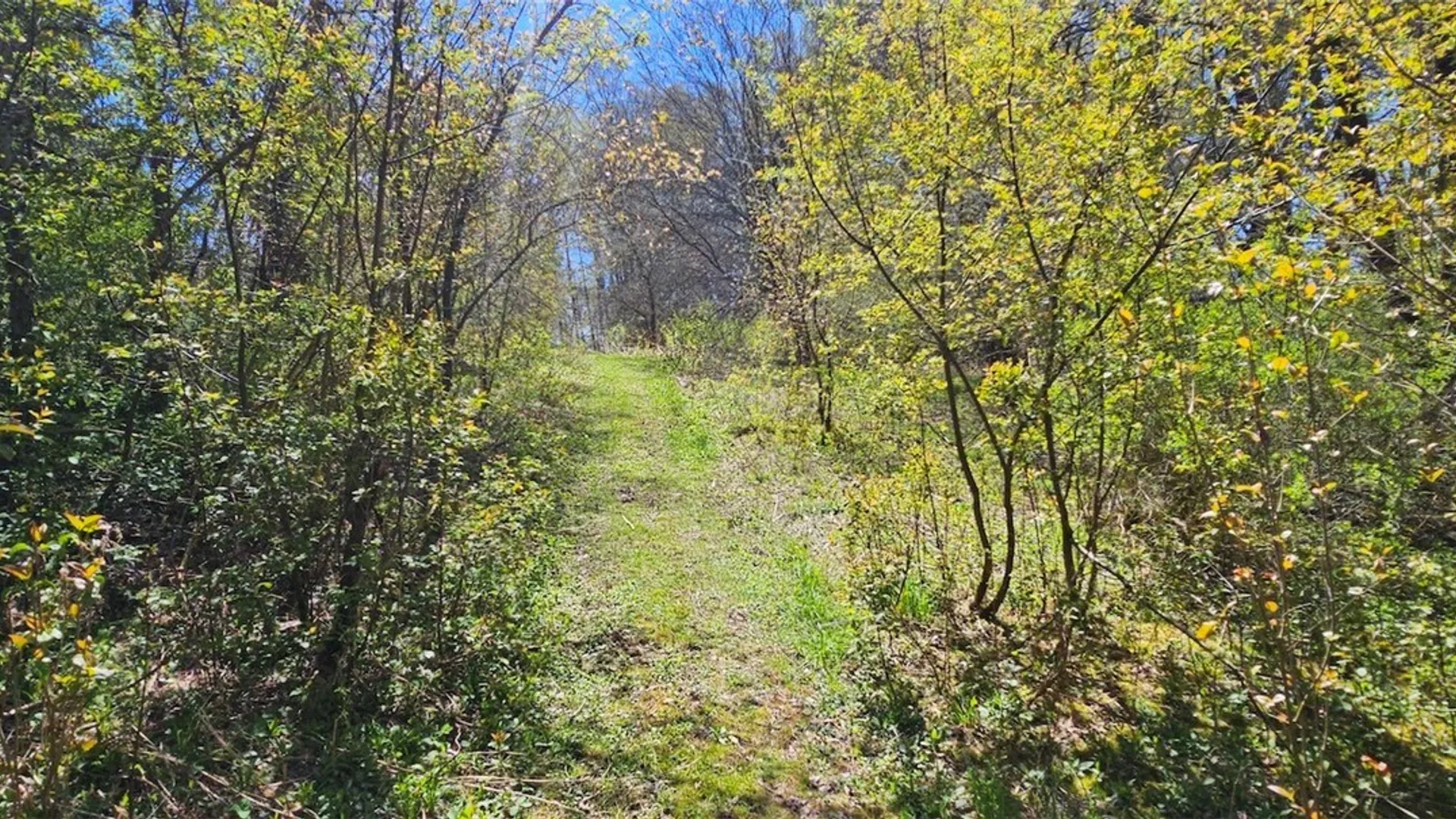 Property at 1720 County Route 12, Lincklaen, NY 13052 18