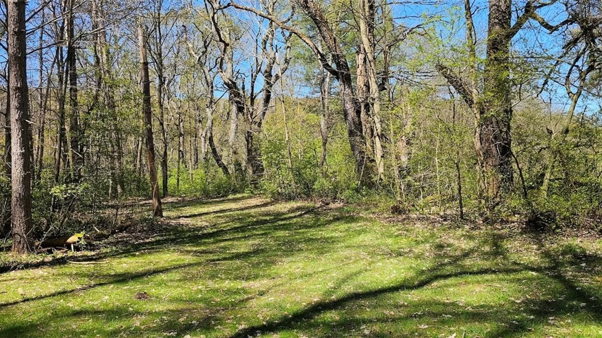 Property at 1720 County Route 12, Lincklaen, NY 13052 19