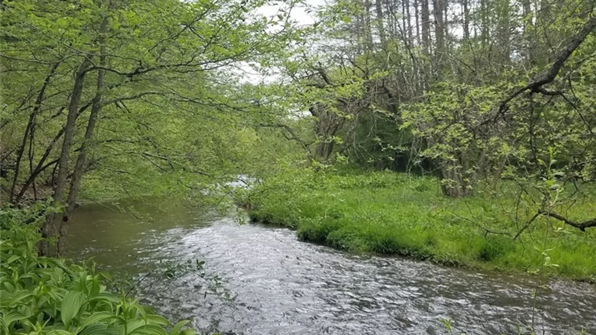 Property at 1720 County Route 12, Lincklaen, NY 13052 20