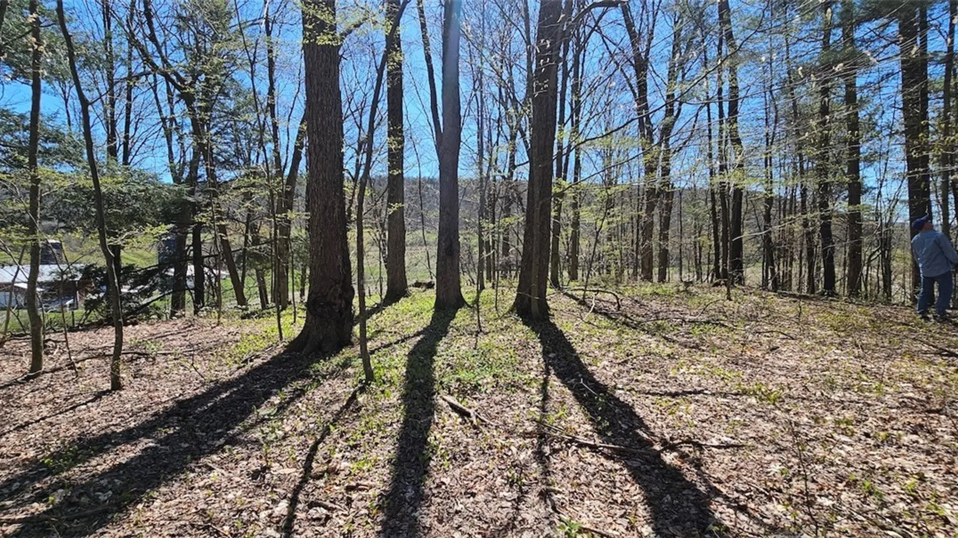 Property at 1720 County Route 12, Lincklaen, NY 13052 27