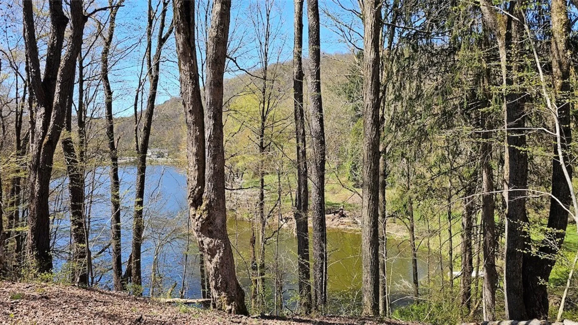 Property at 1720 County Route 12, Lincklaen, NY 13052 28