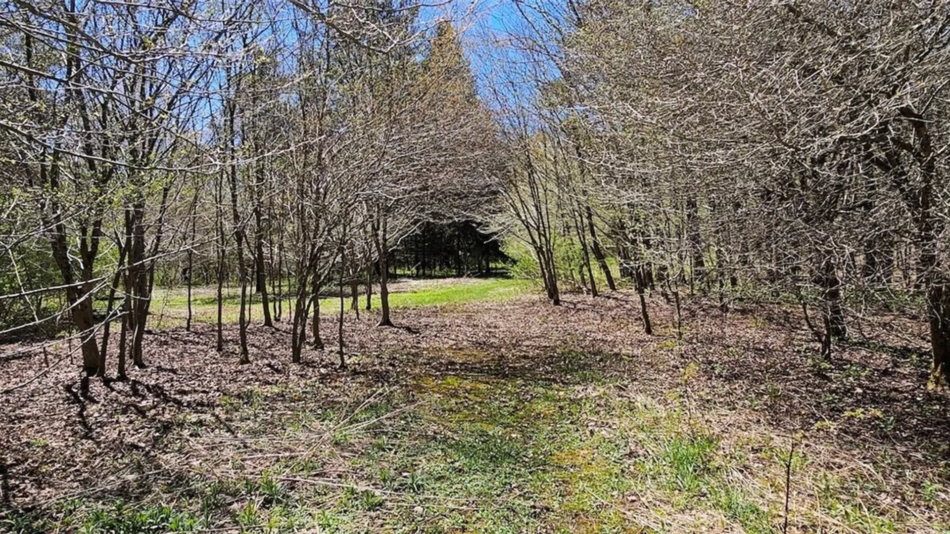 Property at 1720 County Route 12, Lincklaen, NY 13052 34