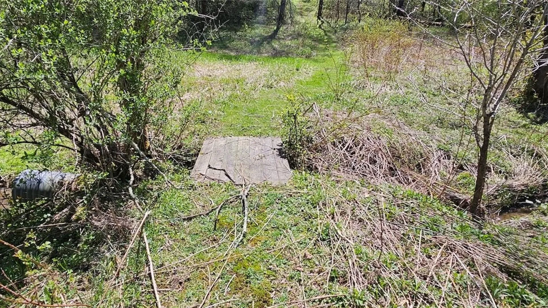 Property at 1720 County Route 12, Lincklaen, NY 13052 37