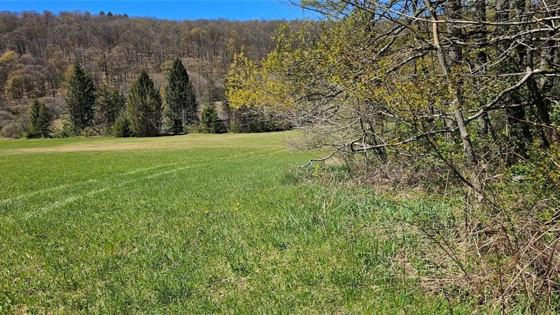Property at 1720 County Route 12, Lincklaen, NY 13052 38