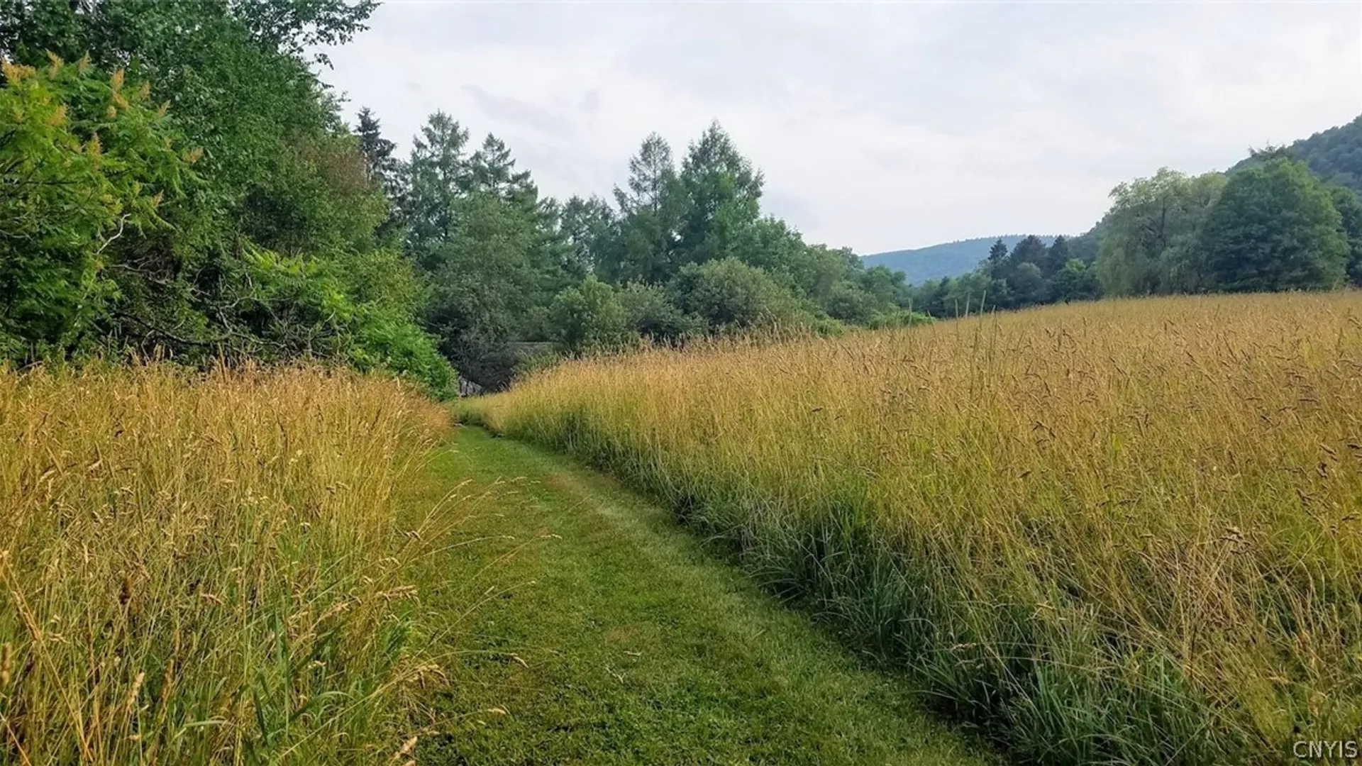 Property at 1720 County Route 12, Lincklaen, NY 13052 39