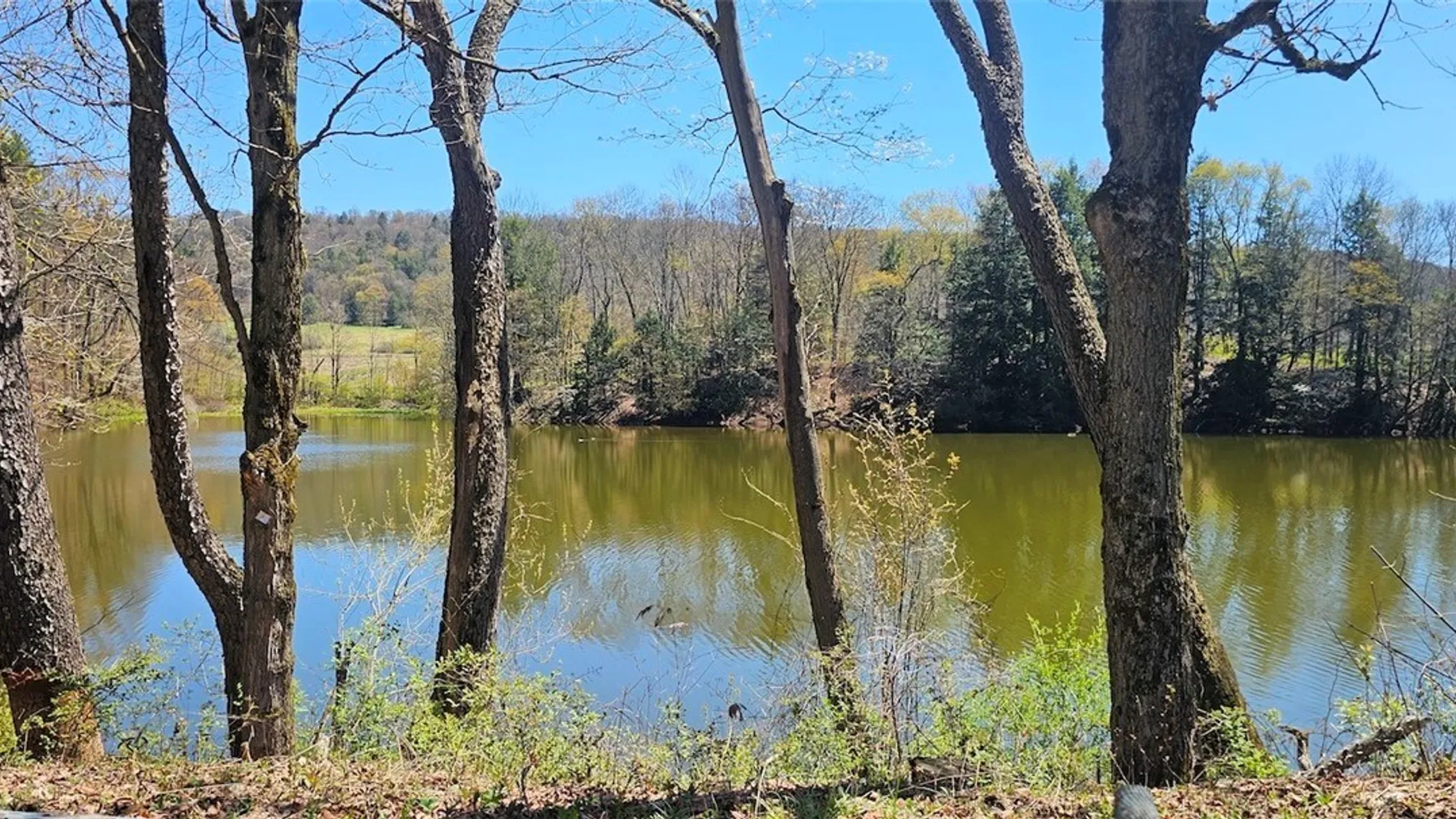 Property at 1720 County Route 12, Lincklaen, NY 13052 7