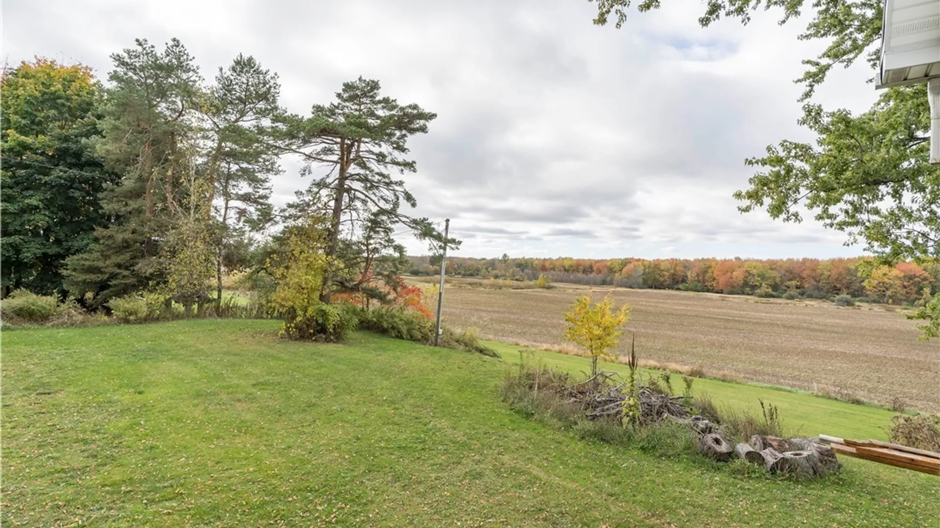 Property at 12811 Wright Street, Adams, NY 13606 45