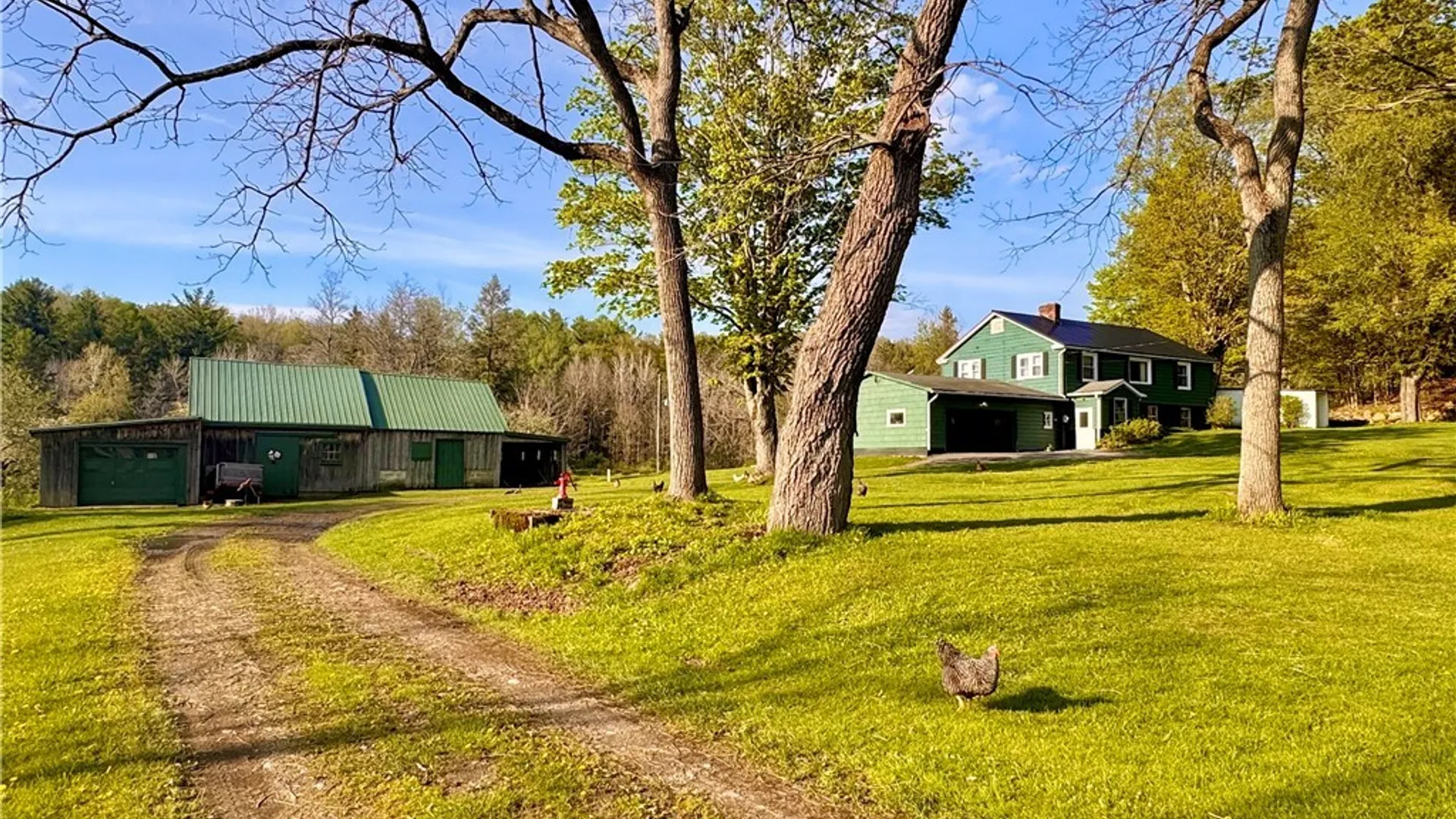 Property at 5166 Pickard Road, Ellery, NY 14728 3