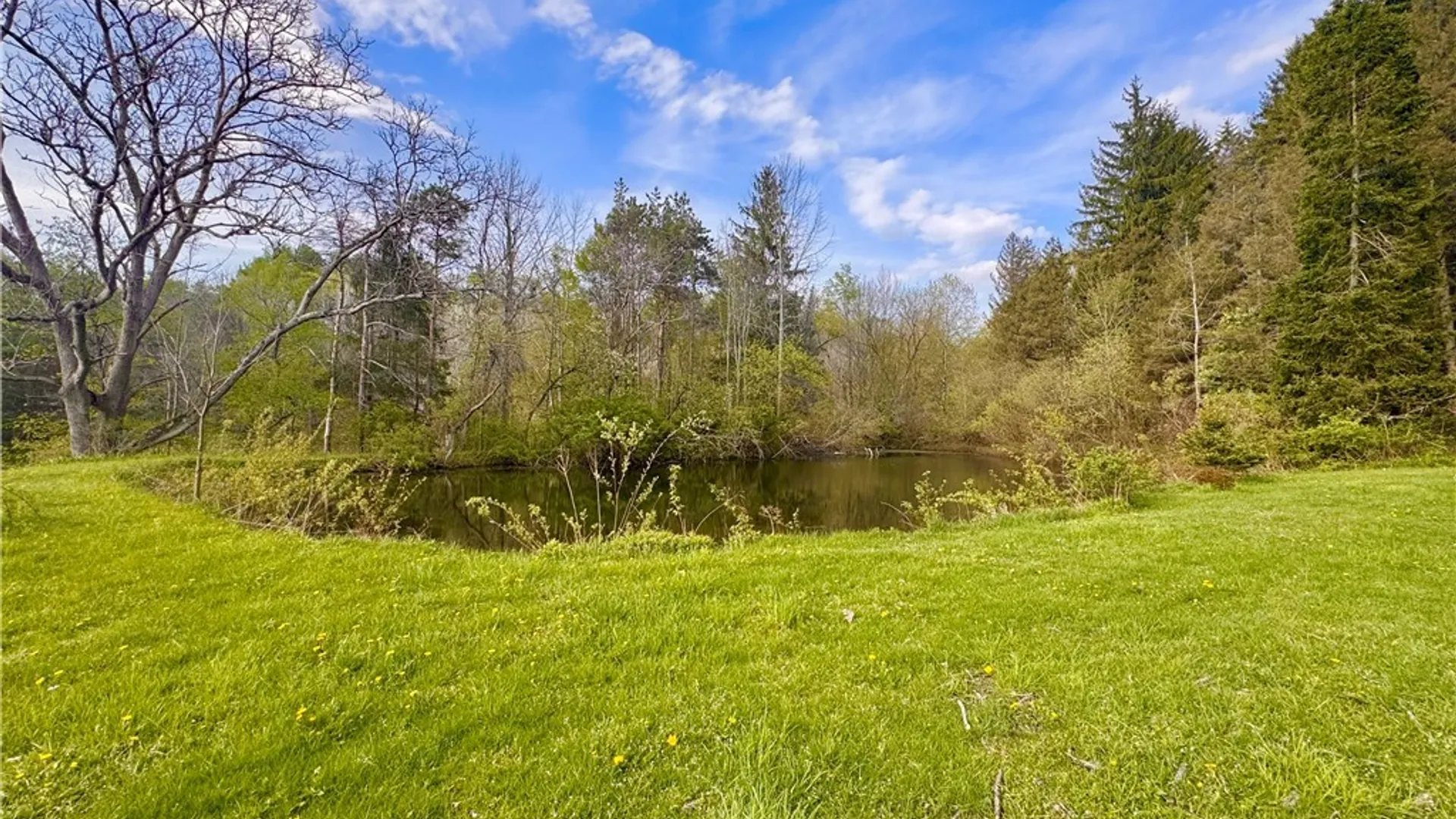 Property at 5166 Pickard Road, Ellery, NY 14728 44