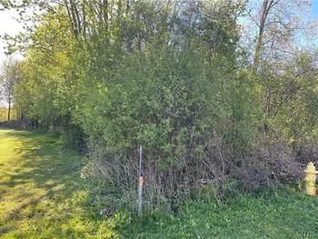 212 Dunning Avenue, Auburn, NY 13021