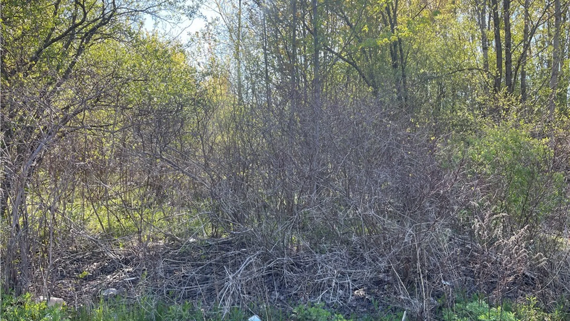 Property at 212 Dunning Avenue, Auburn, NY 13021 3