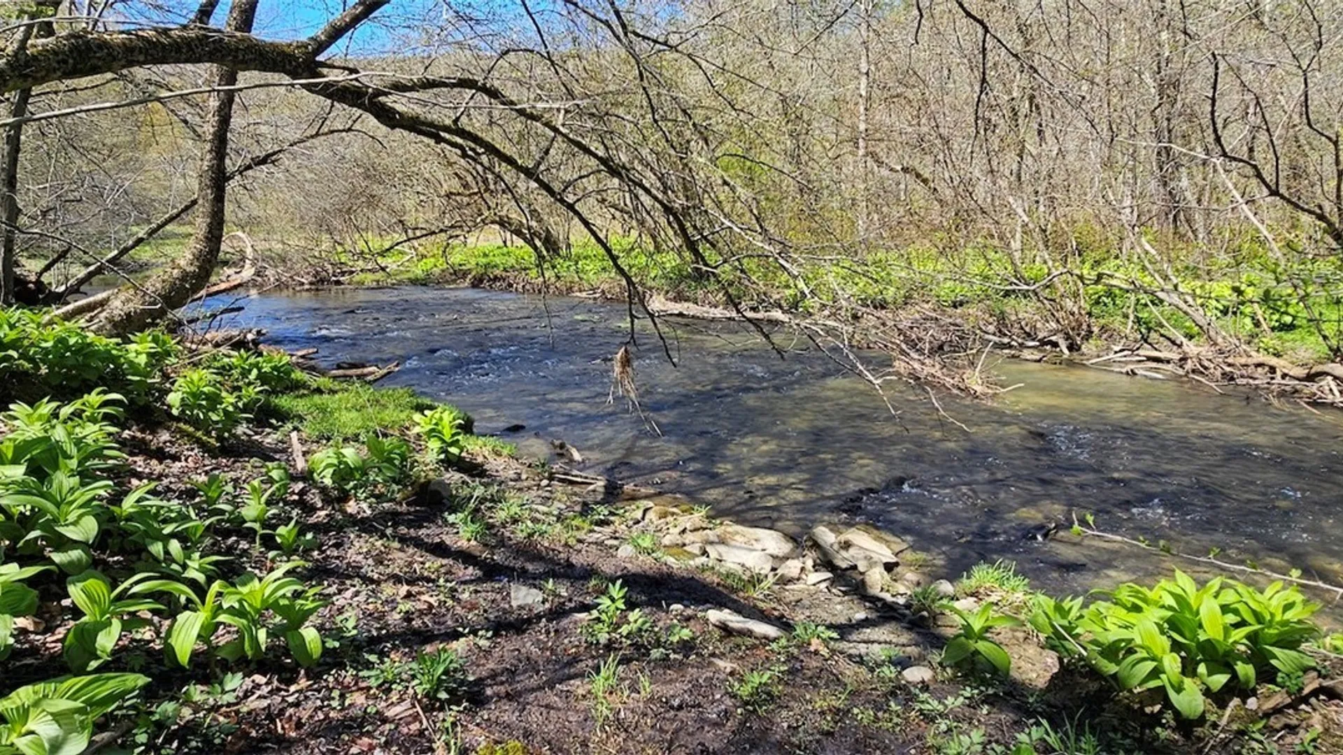 Property at 1720 County Route 12, Lincklaen, NY 13052 21