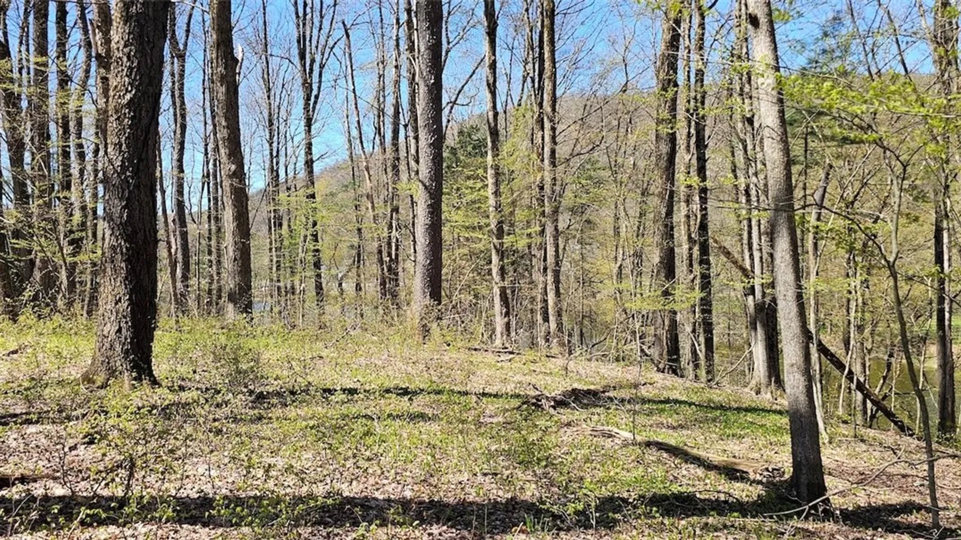 Property at 1720 County Route 12, Lincklaen, NY 13052 26