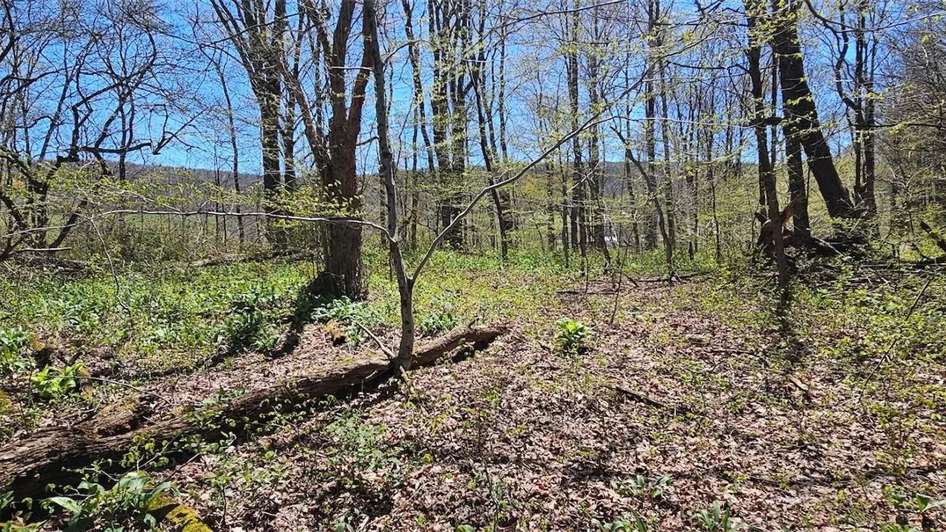 Property at 1720 County Route 12, Lincklaen, NY 13052 36