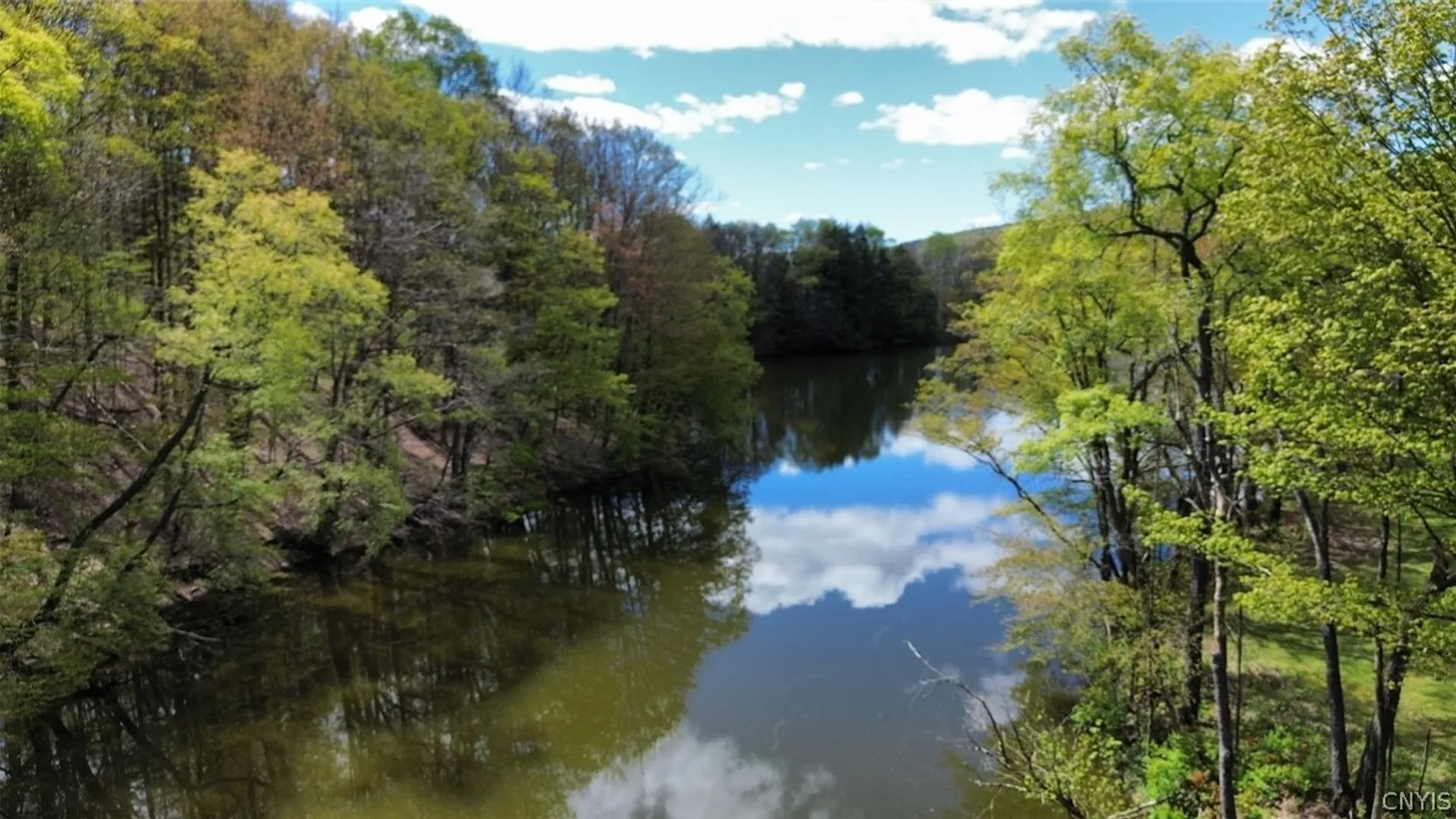 Property at 1720 County Route 12, Lincklaen, NY 13052 44