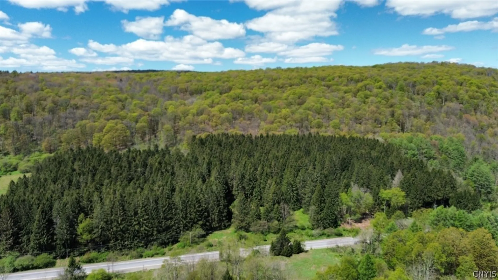 Property at 1720 County Route 12, Lincklaen, NY 13052 48