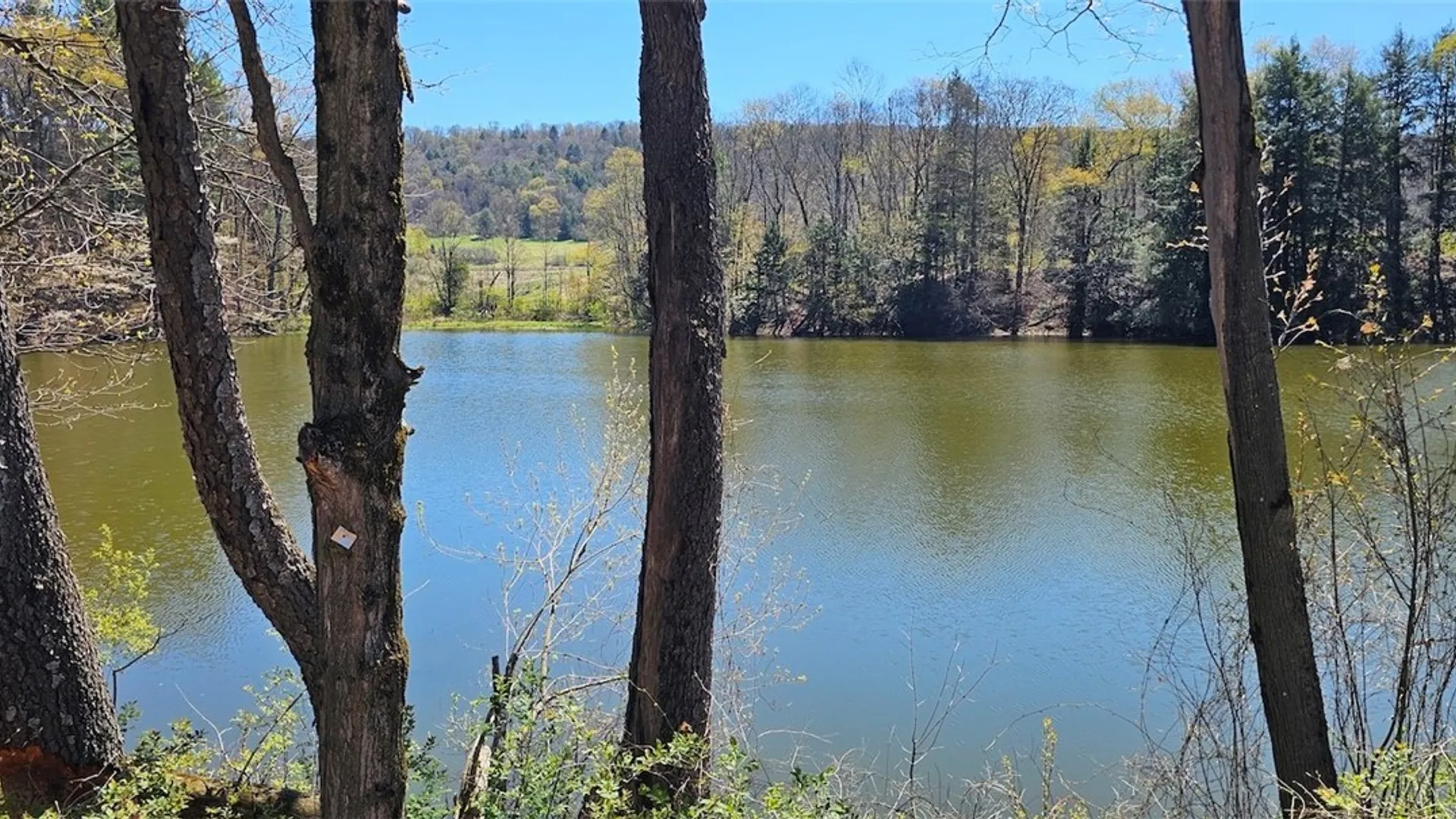 Property at 1720 County Route 12, Lincklaen, NY 13052 5