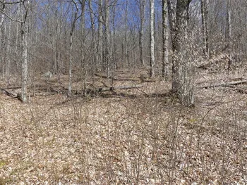 Property at Lot 11.2 Alpine Drive, Bovina, NY 13731