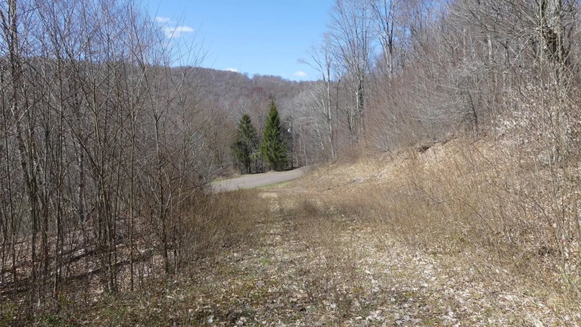 Property at Lot 11.2 Alpine Drive, Bovina, NY 13731 2