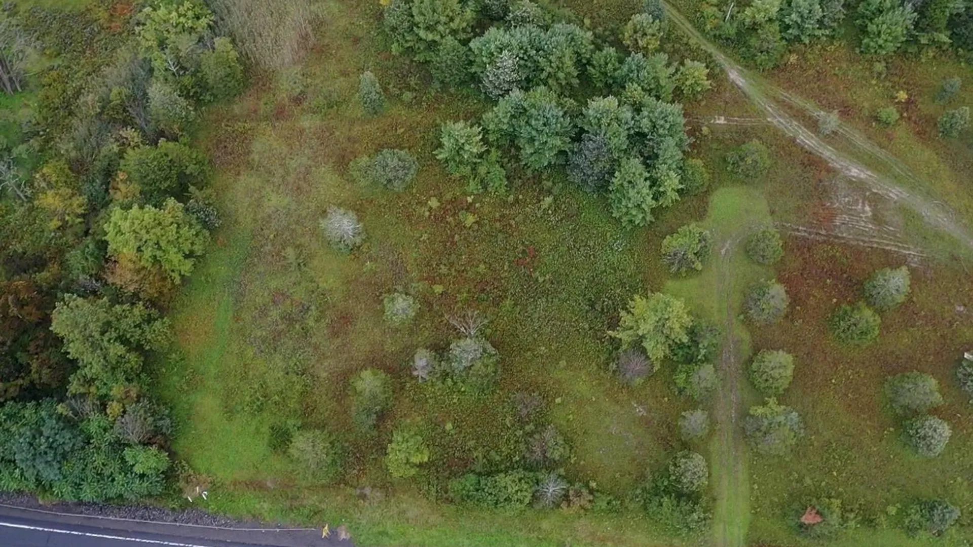 Property at 9676 ROUTE 9W, Athens, NY 12015 14