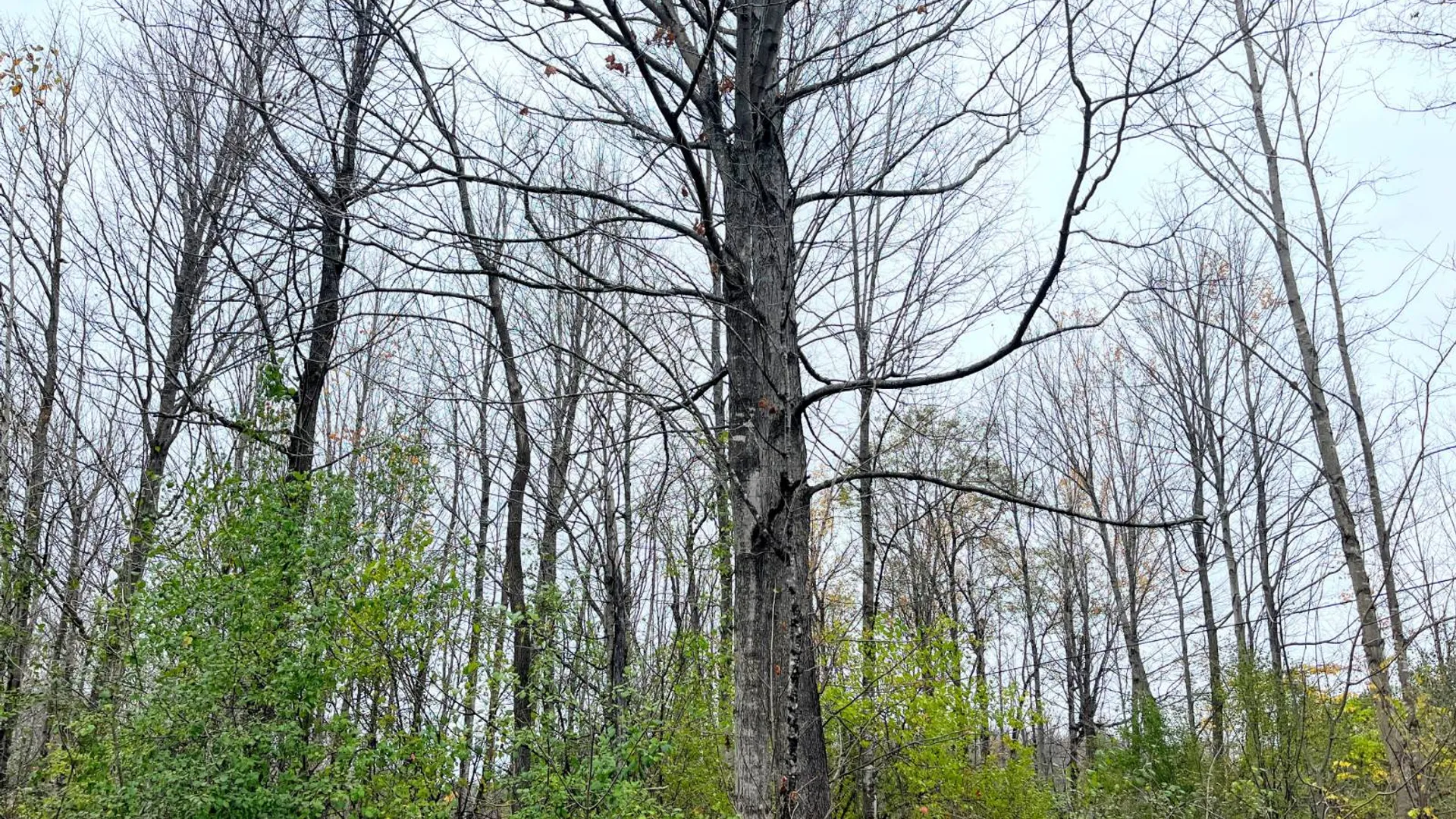 Property at 00 County Route 47, Winthrop, NY 13676 10
