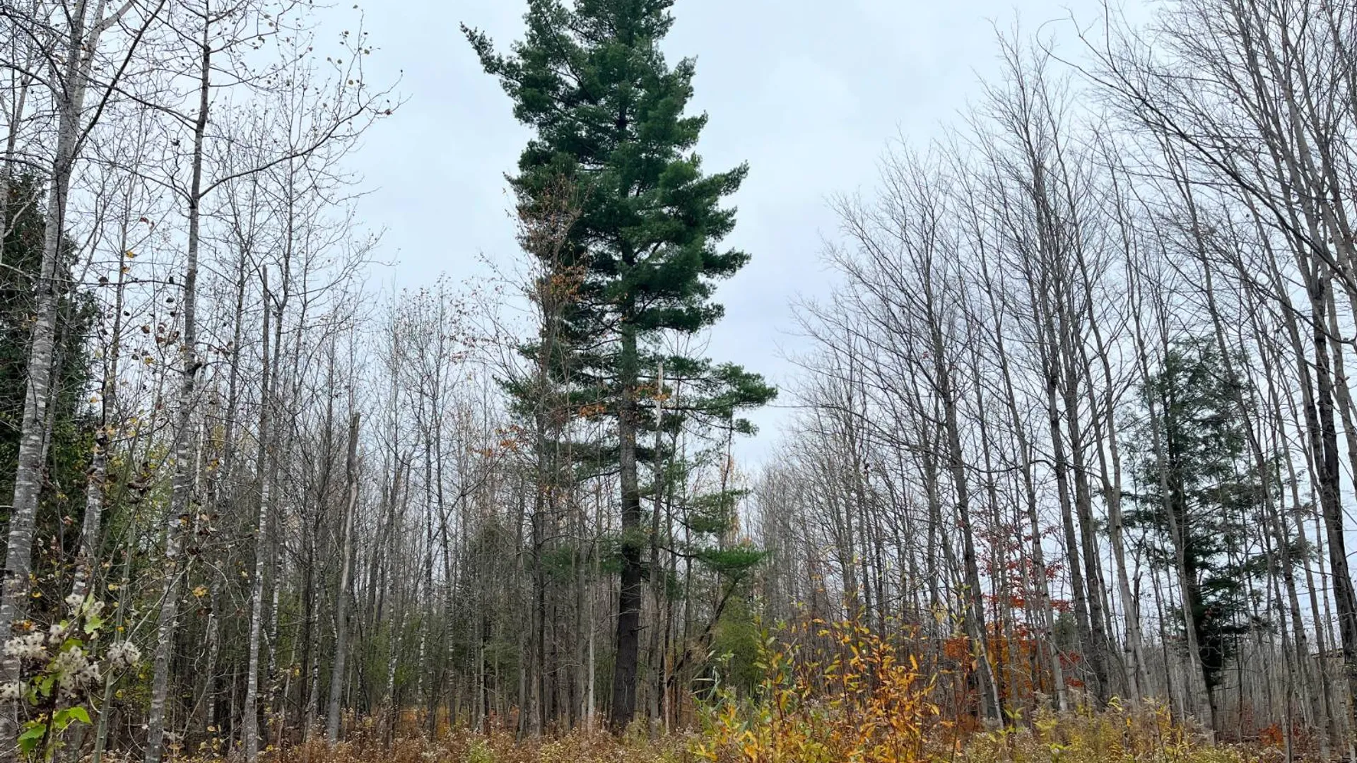 Property at 00 County Route 47, Winthrop, NY 13676 11