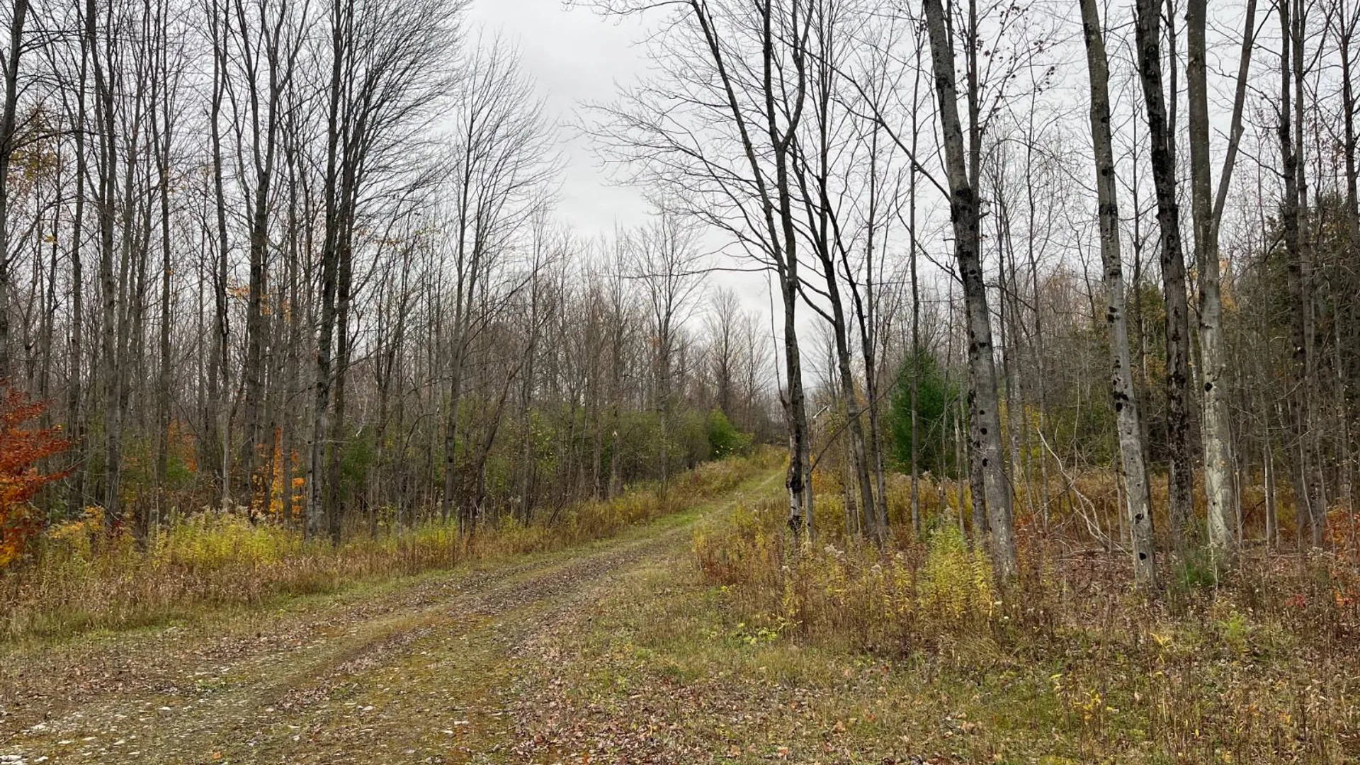 Property at 00 County Route 47, Winthrop, NY 13676 12