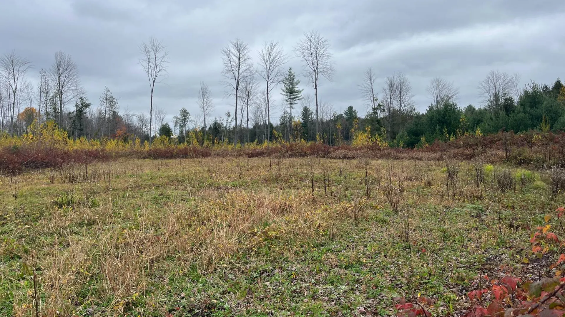 Property at 00 County Route 47, Winthrop, NY 13676 29