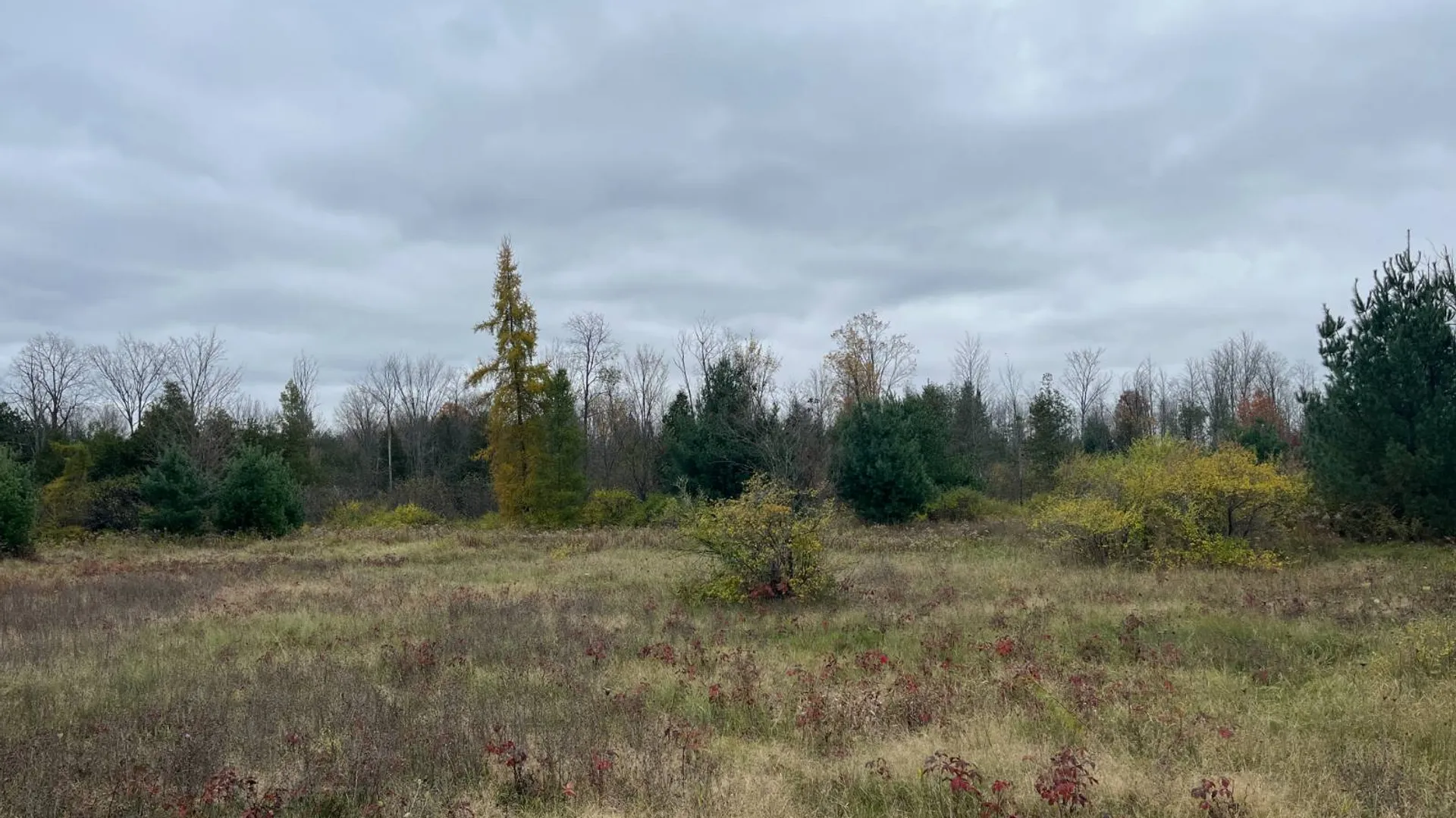 Property at 00 County Route 47, Winthrop, NY 13676 3