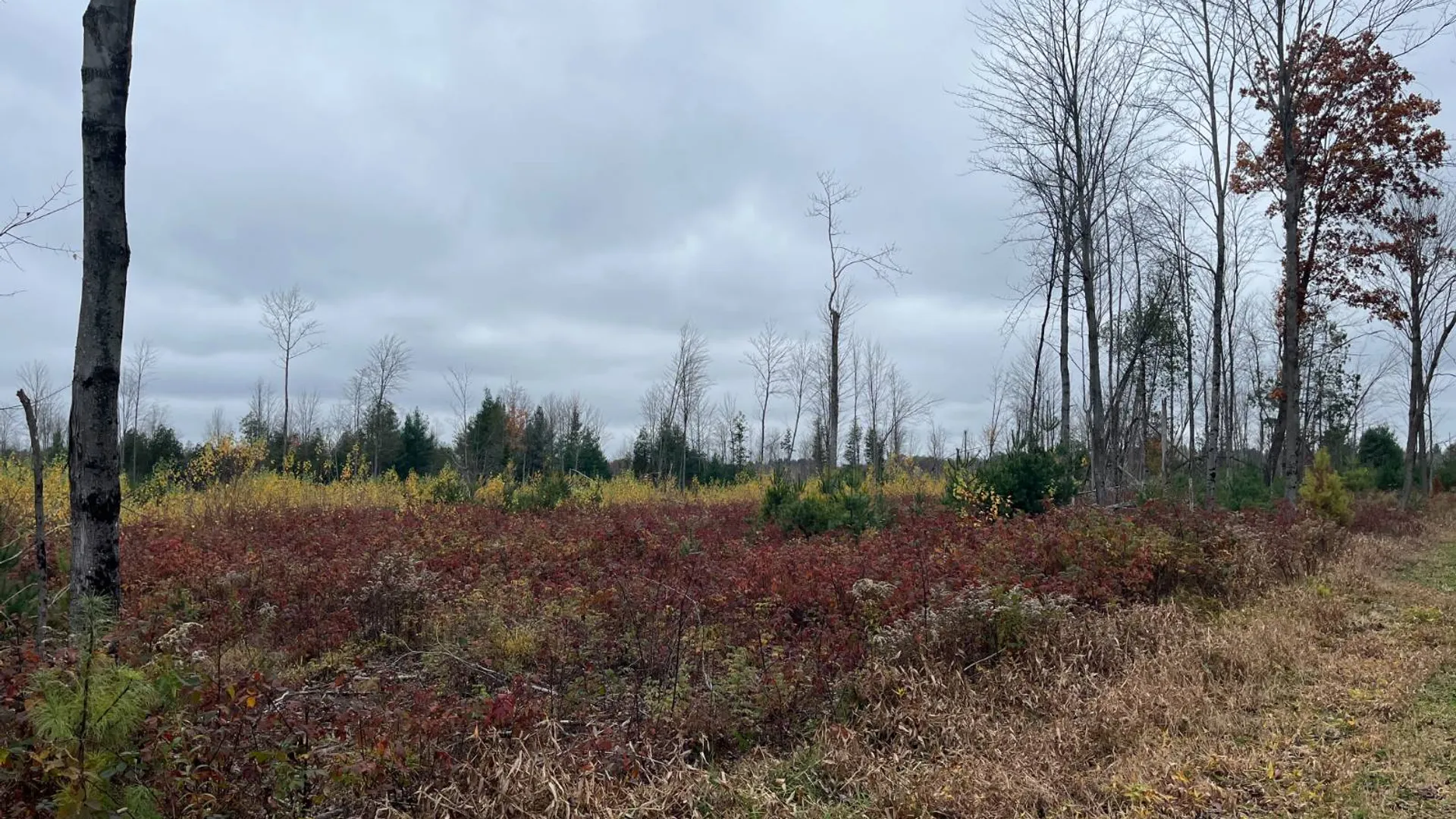 Property at 00 County Route 47, Winthrop, NY 13676 30