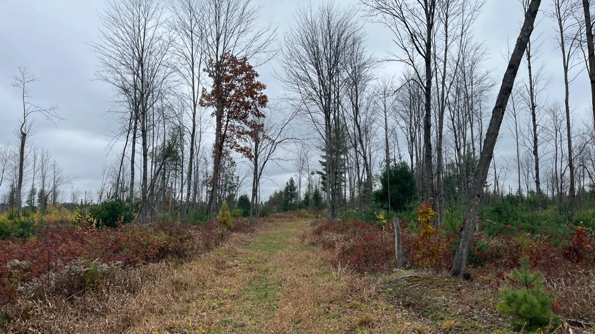 Property at 00 County Route 47, Winthrop, NY 13676 31