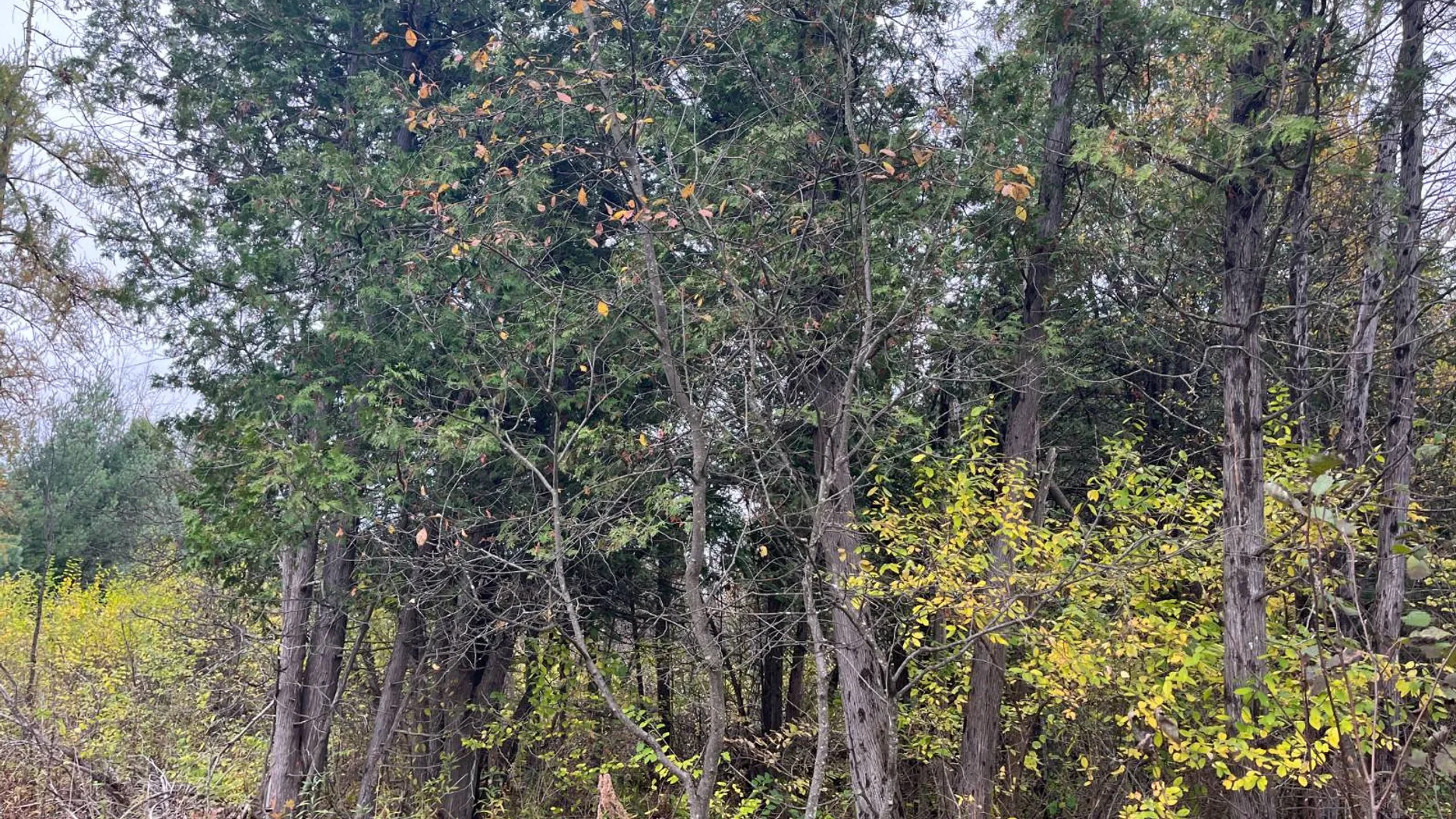 Property at 00 County Route 47, Winthrop, NY 13676 33