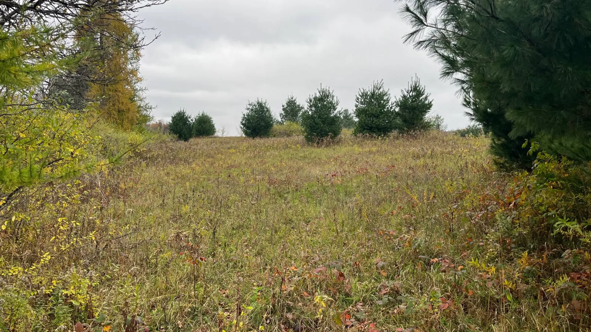 Property at 00 County Route 47, Winthrop, NY 13676 34