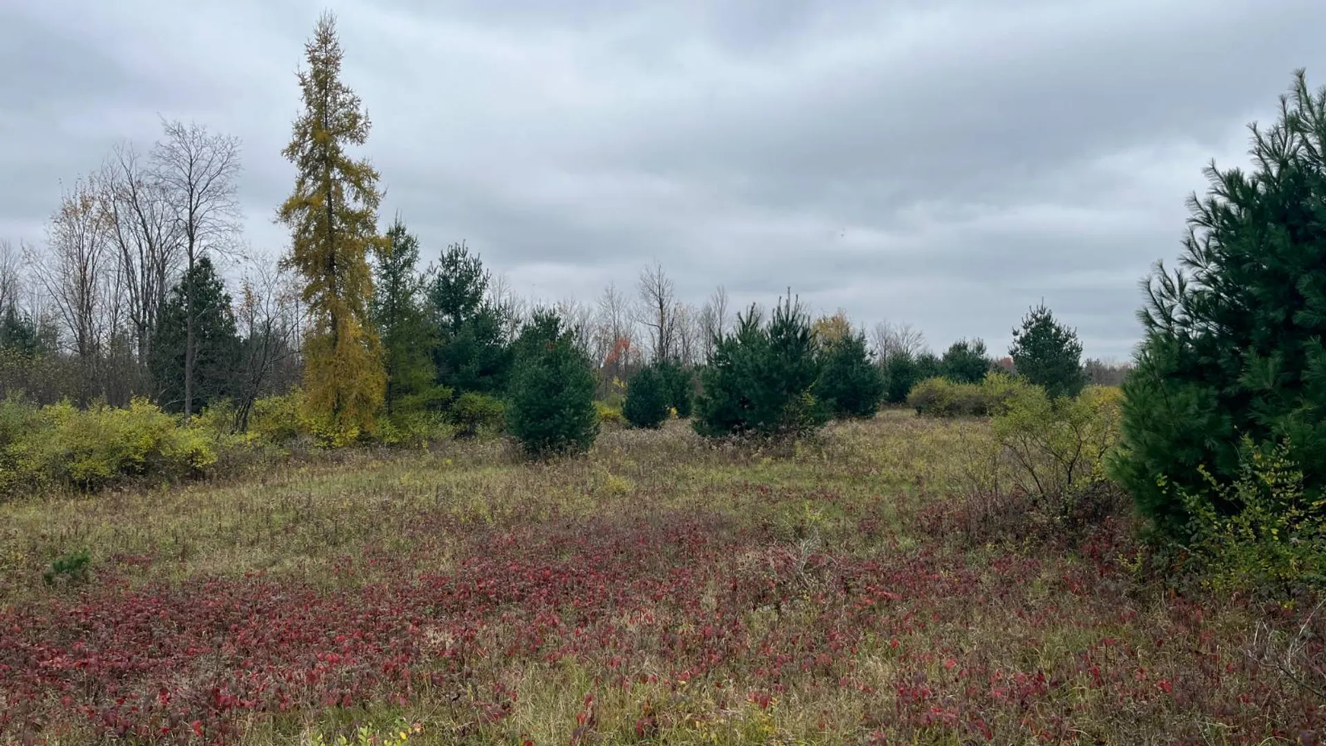 Property at 00 County Route 47, Winthrop, NY 13676 35