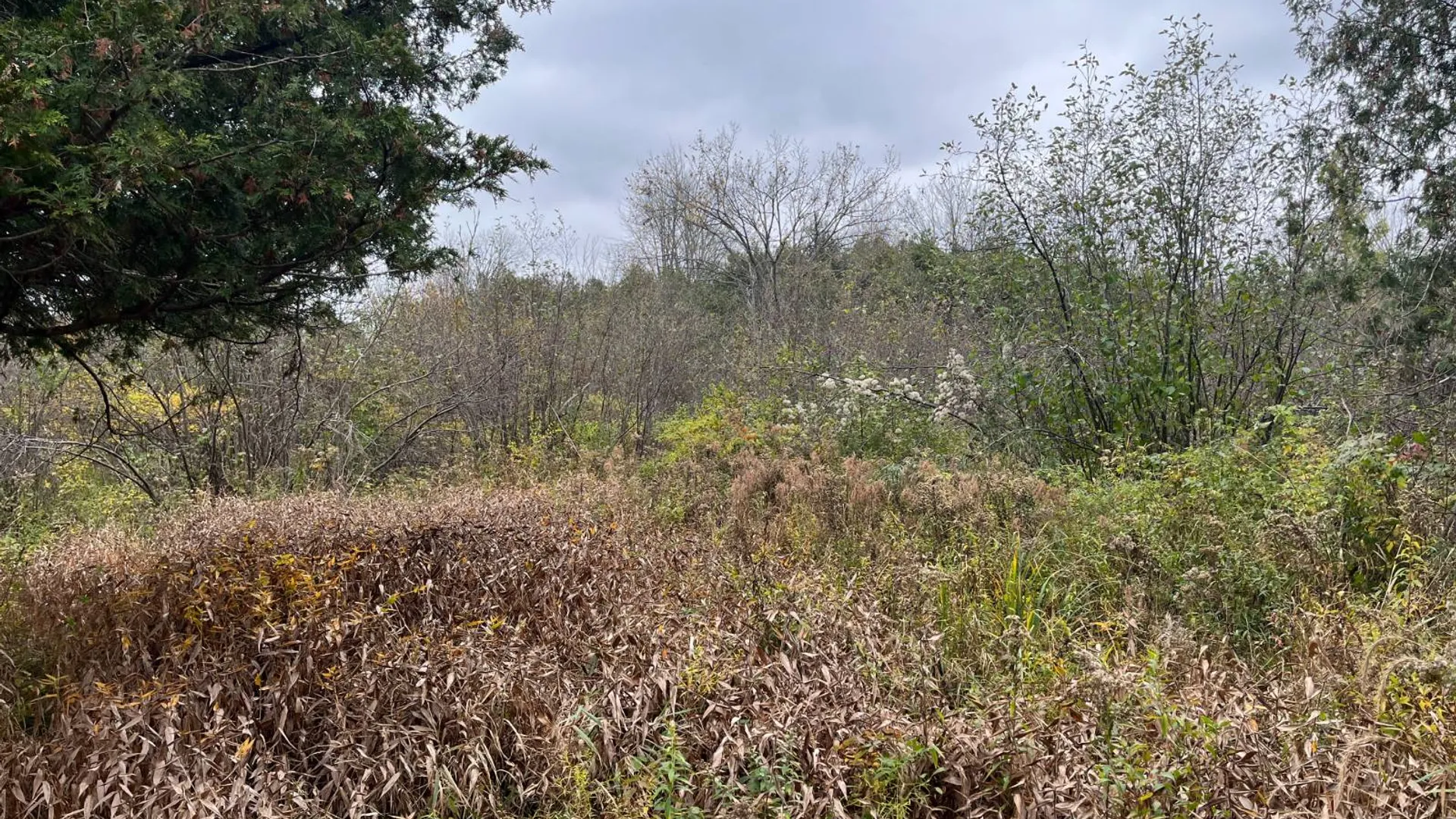 Property at 00 County Route 47, Winthrop, NY 13676 39