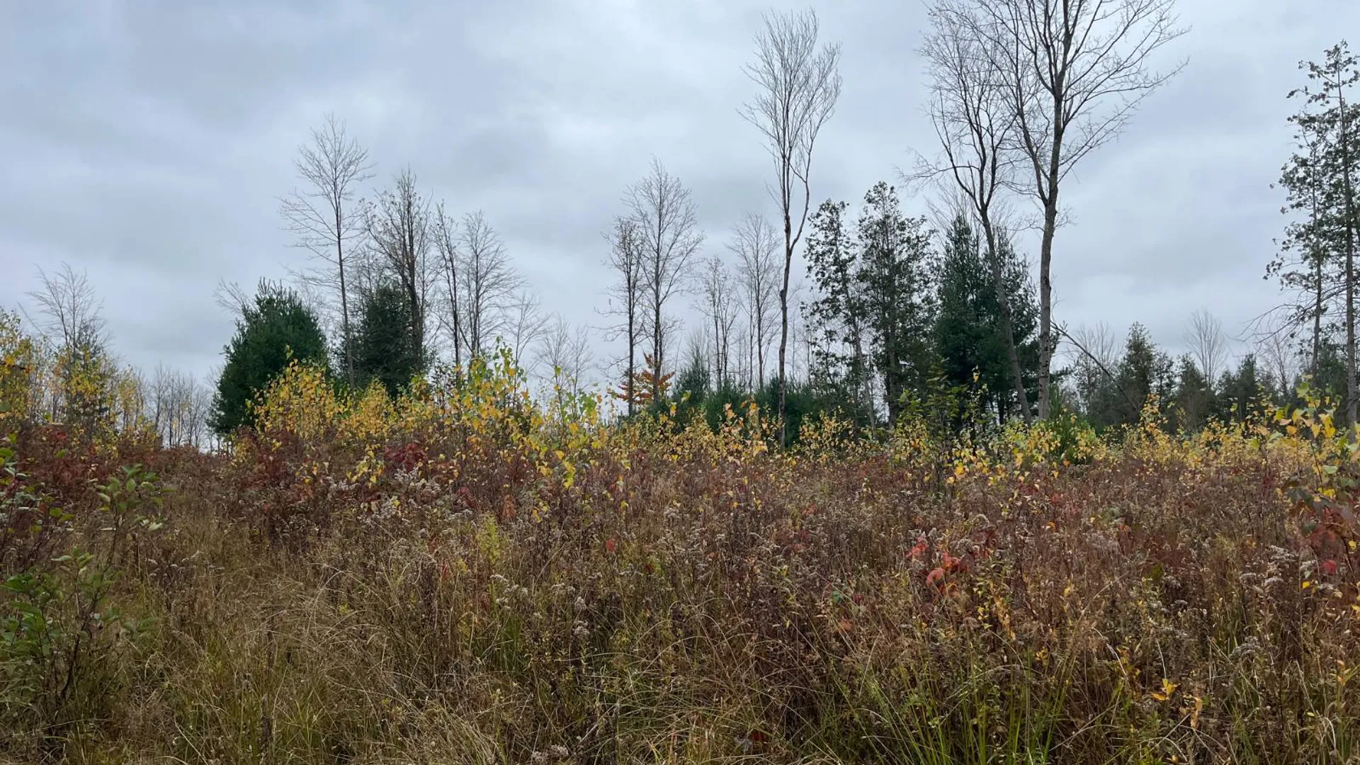 Property at 00 County Route 47, Winthrop, NY 13676 43