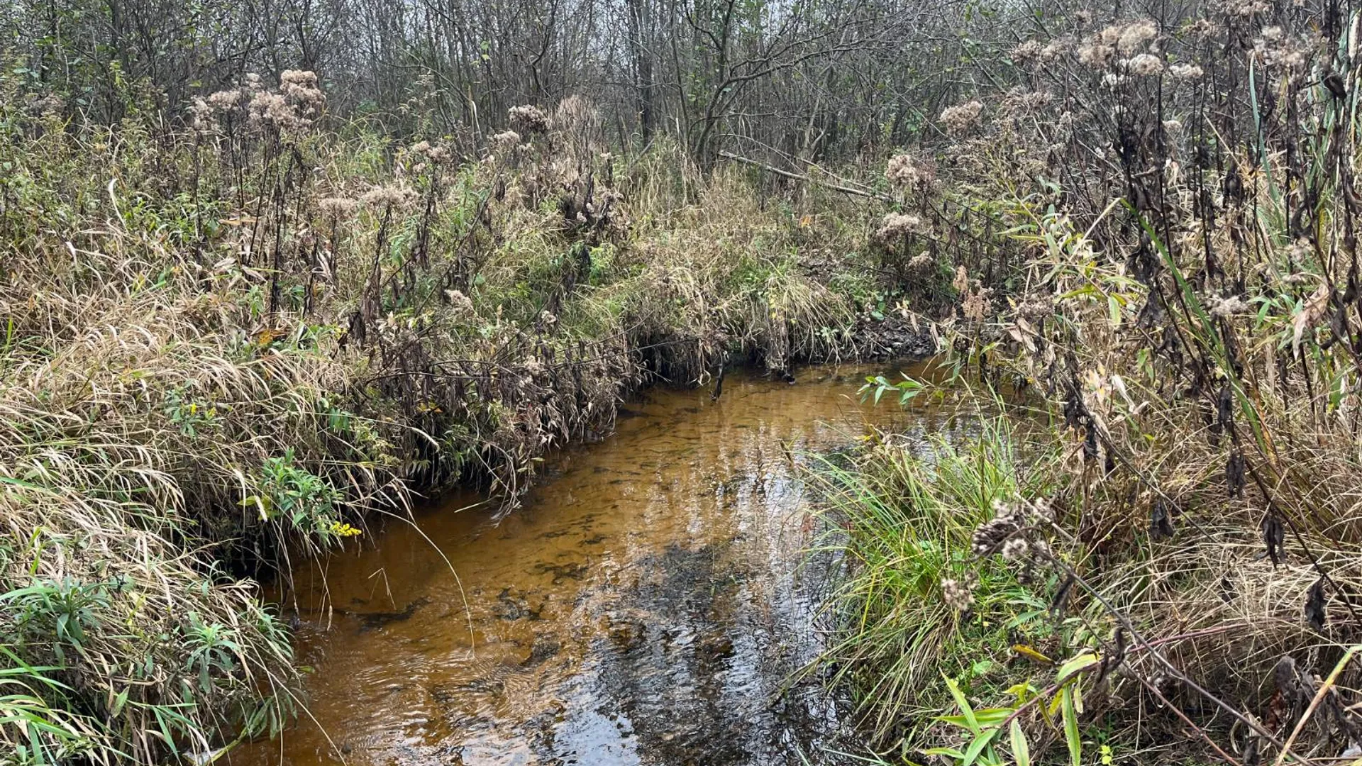 Property at 00 County Route 47, Winthrop, NY 13676 44