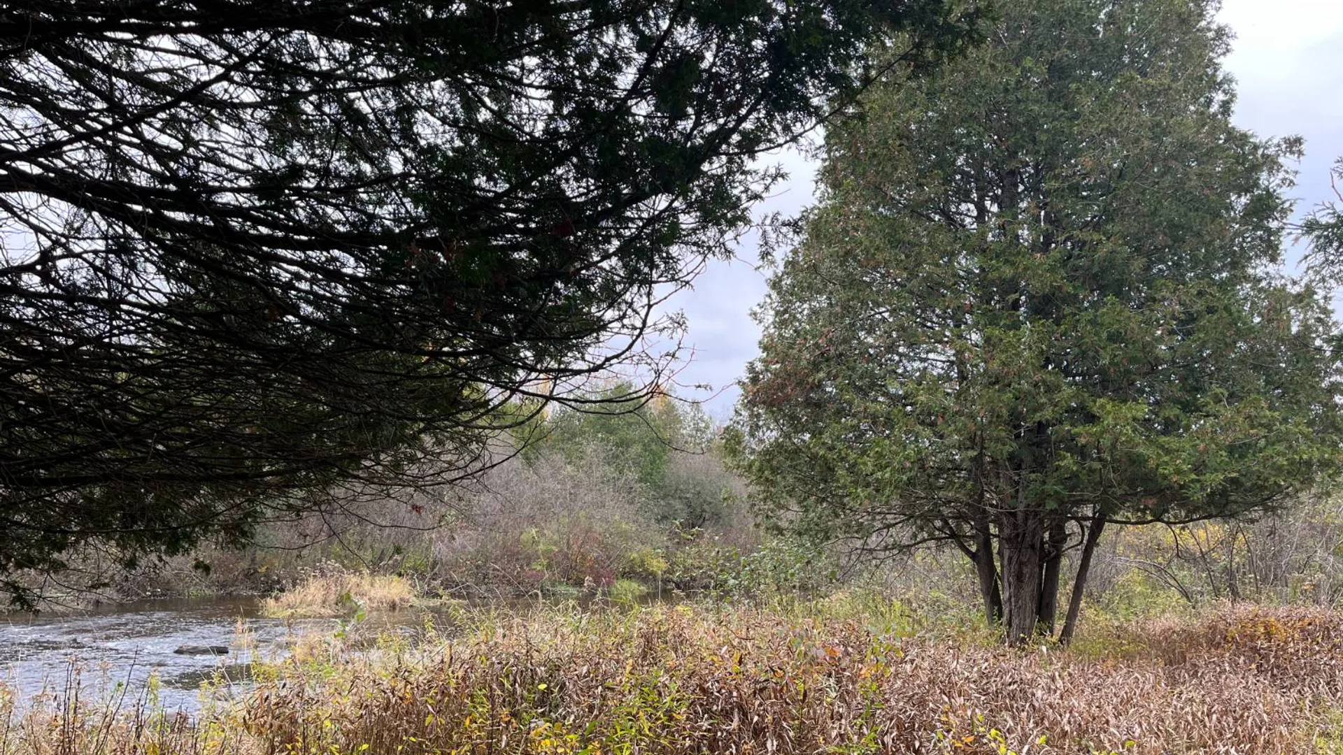 Property at 00 County Route 47, Winthrop, NY 13676 46