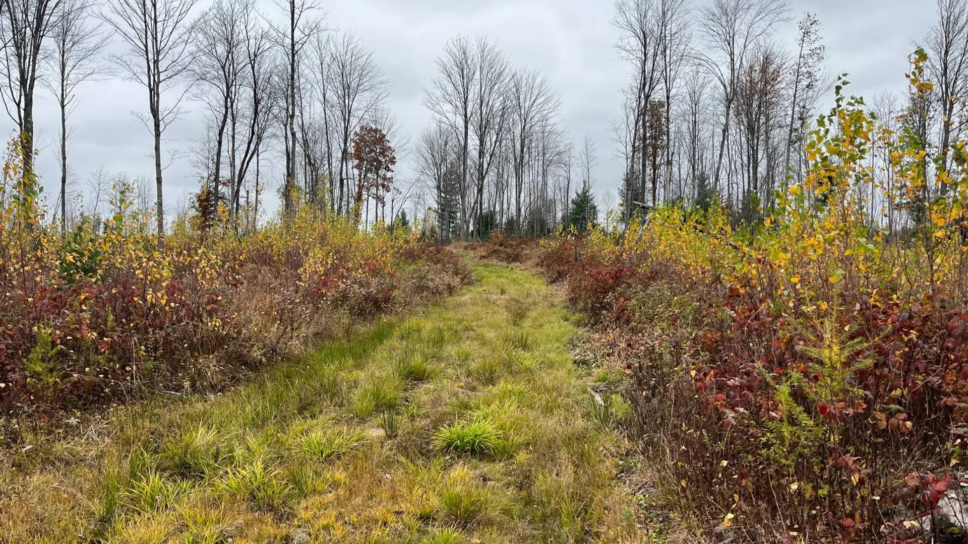 Property at 00 County Route 47, Winthrop, NY 13676 47