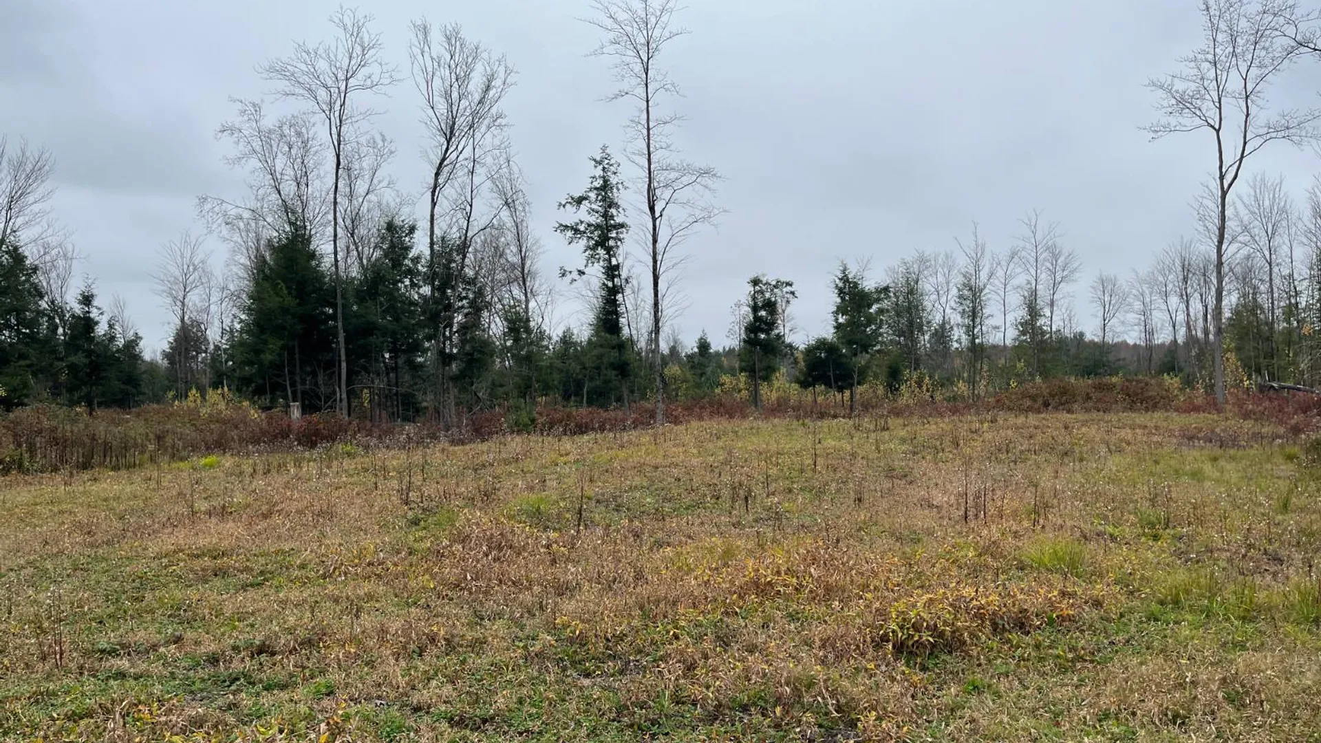 Property at 00 County Route 47, Winthrop, NY 13676 48